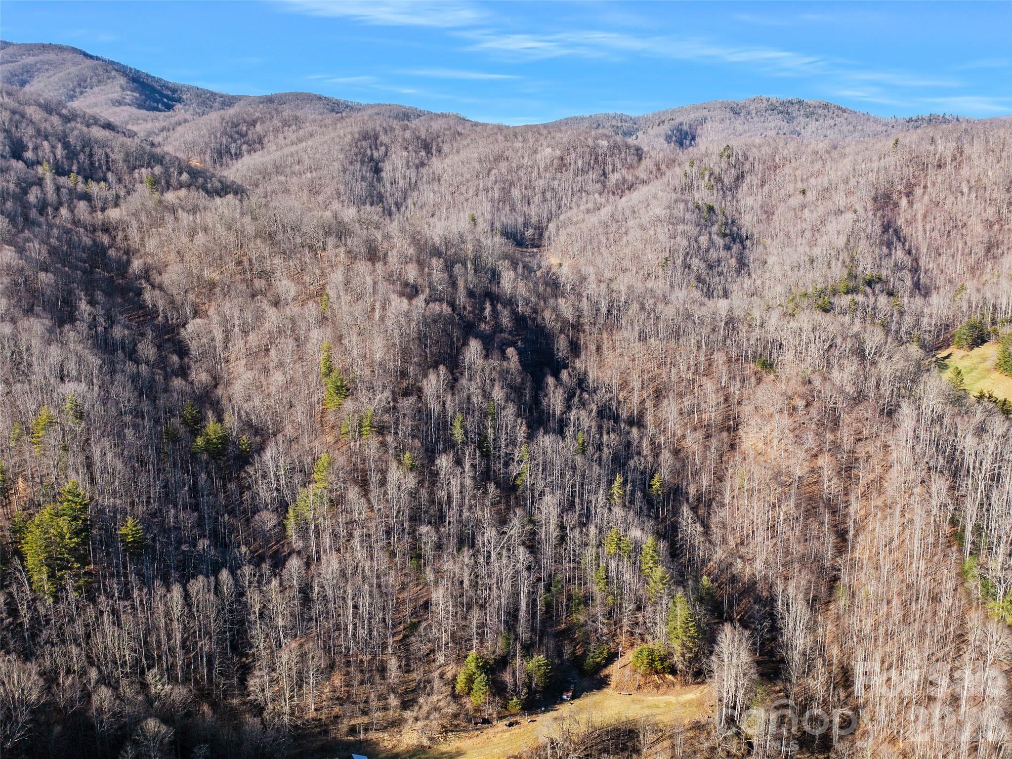 00 Lotties Creek Road Property Photo 12
