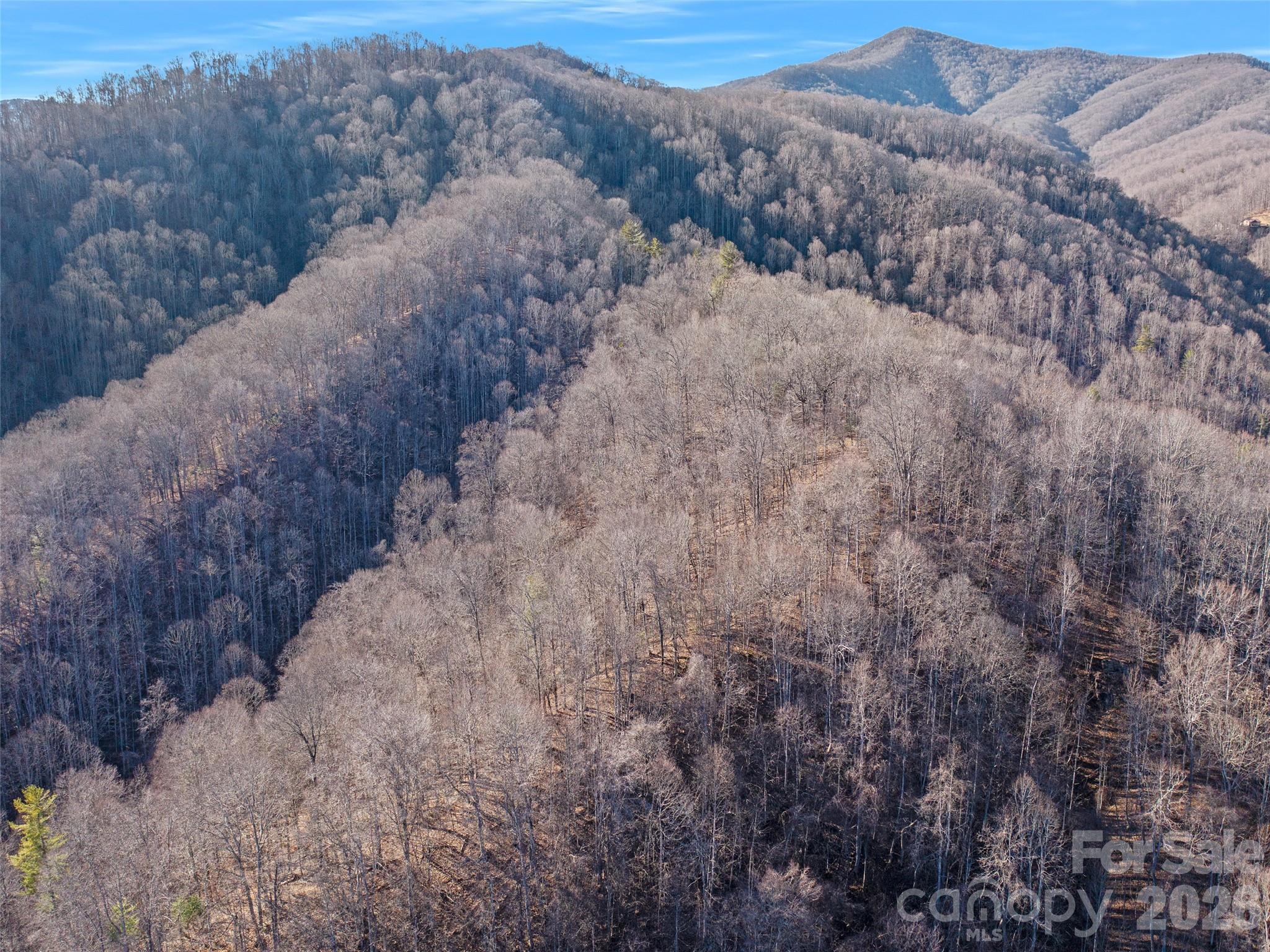 00 Lotties Creek Road Property Photo 19
