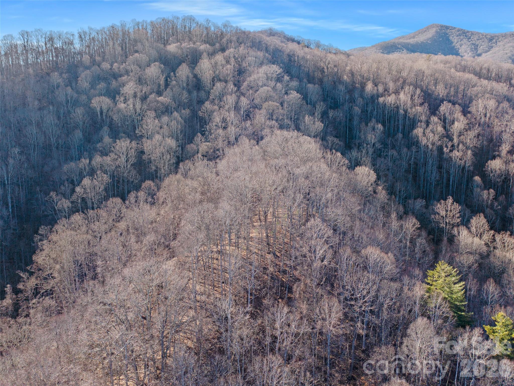 00 Lotties Creek Road Property Photo 20