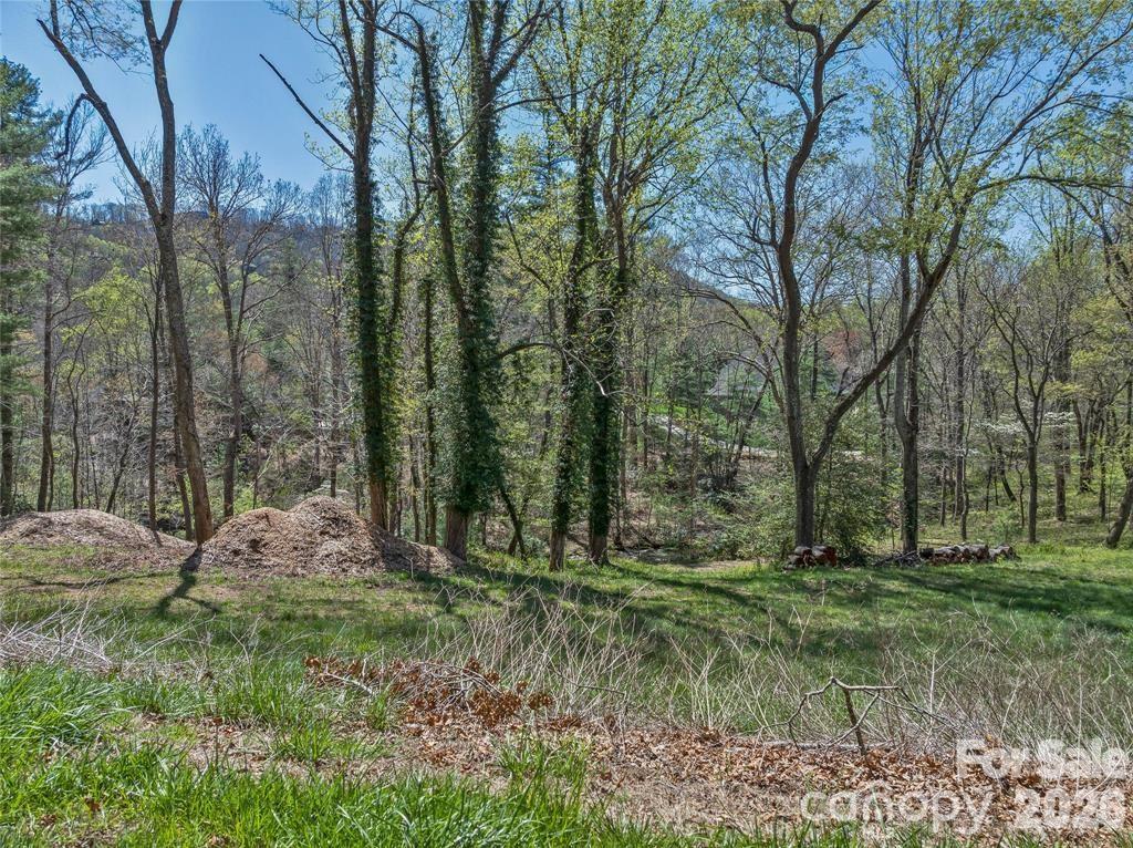 99999 Running Creek Trail 2 Property Photo 1