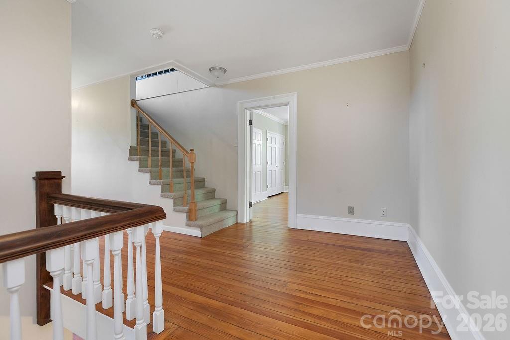 208 Probart Street Property Photo 32