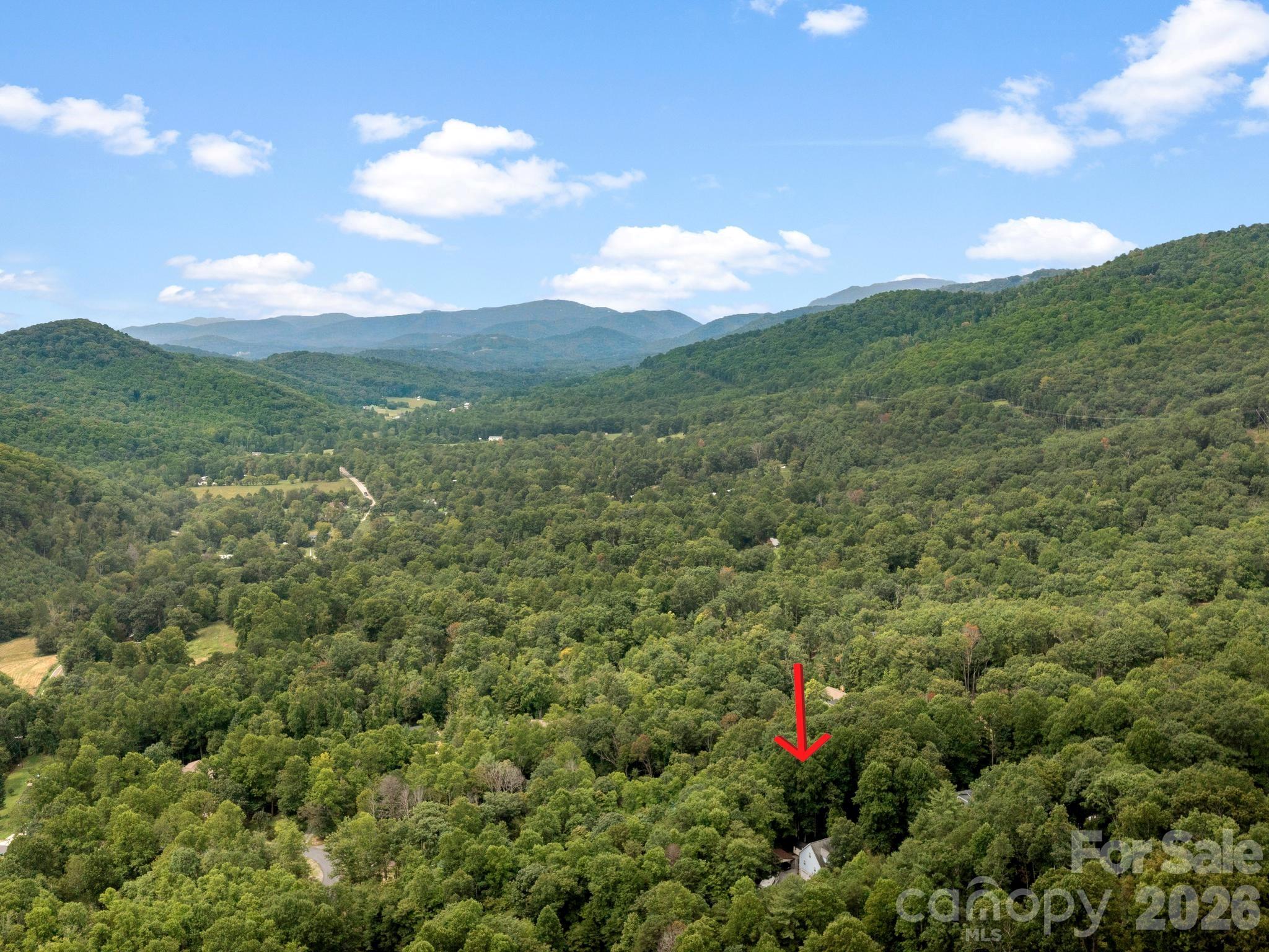 41 Bear Trail Property Photo 38