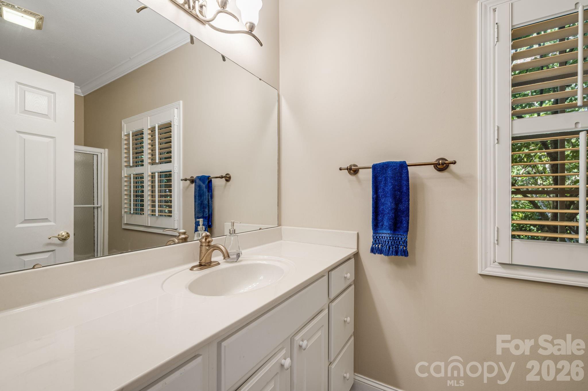 212 Carriage Springs Way Property Photo 24