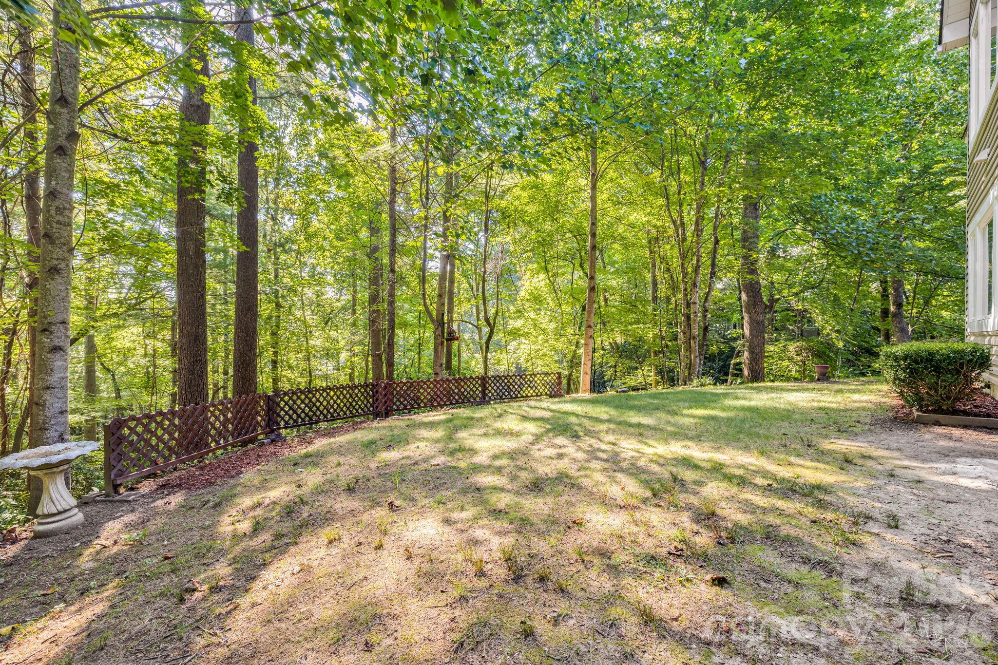 212 Carriage Springs Way Property Photo 38