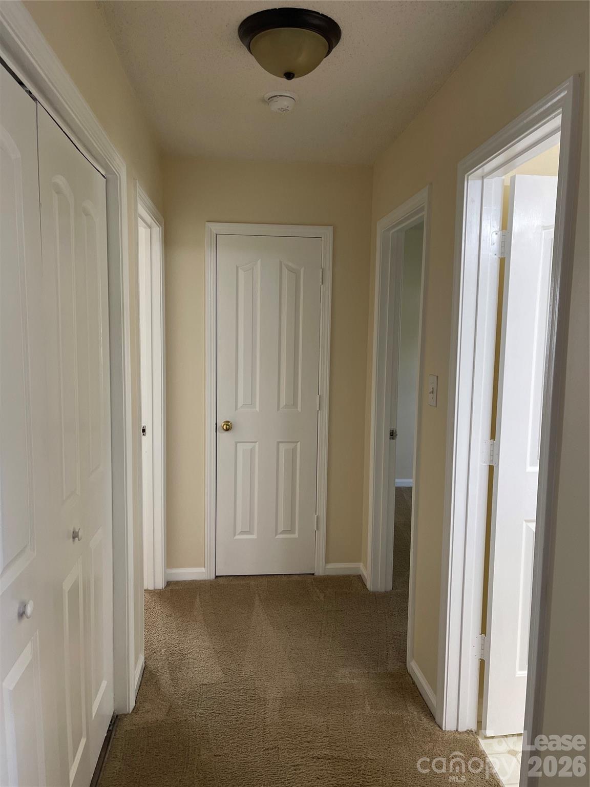 11624 Larix Drive Property Photo 12