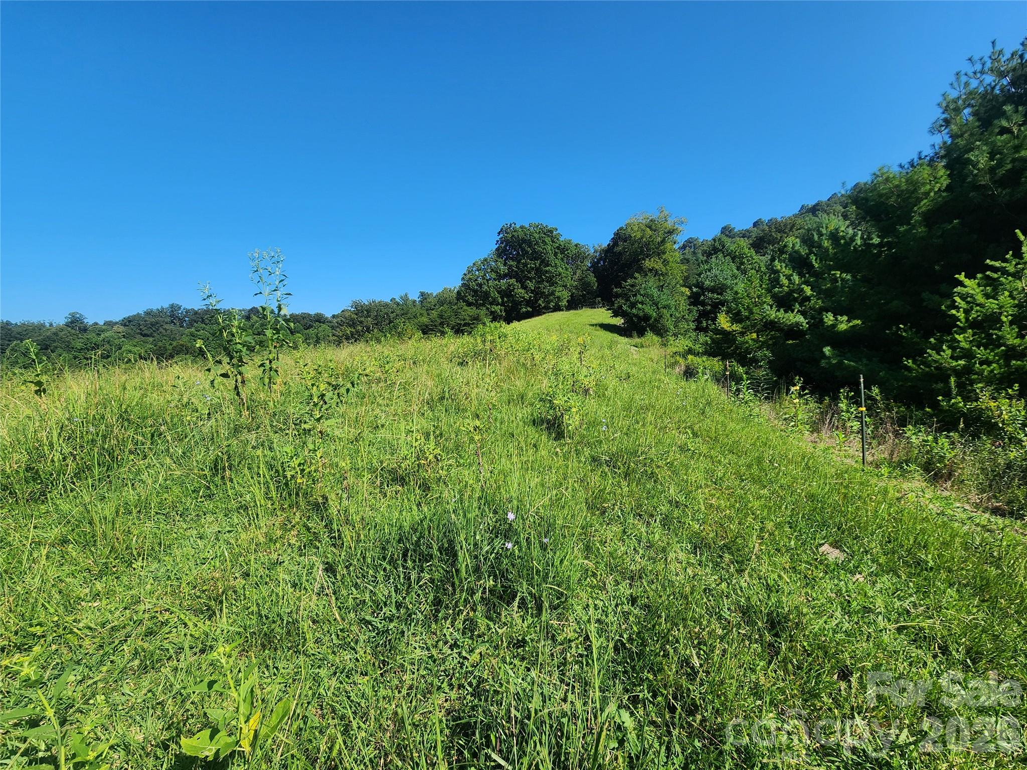 Tbd Gid Flynn Road Property Photo 6