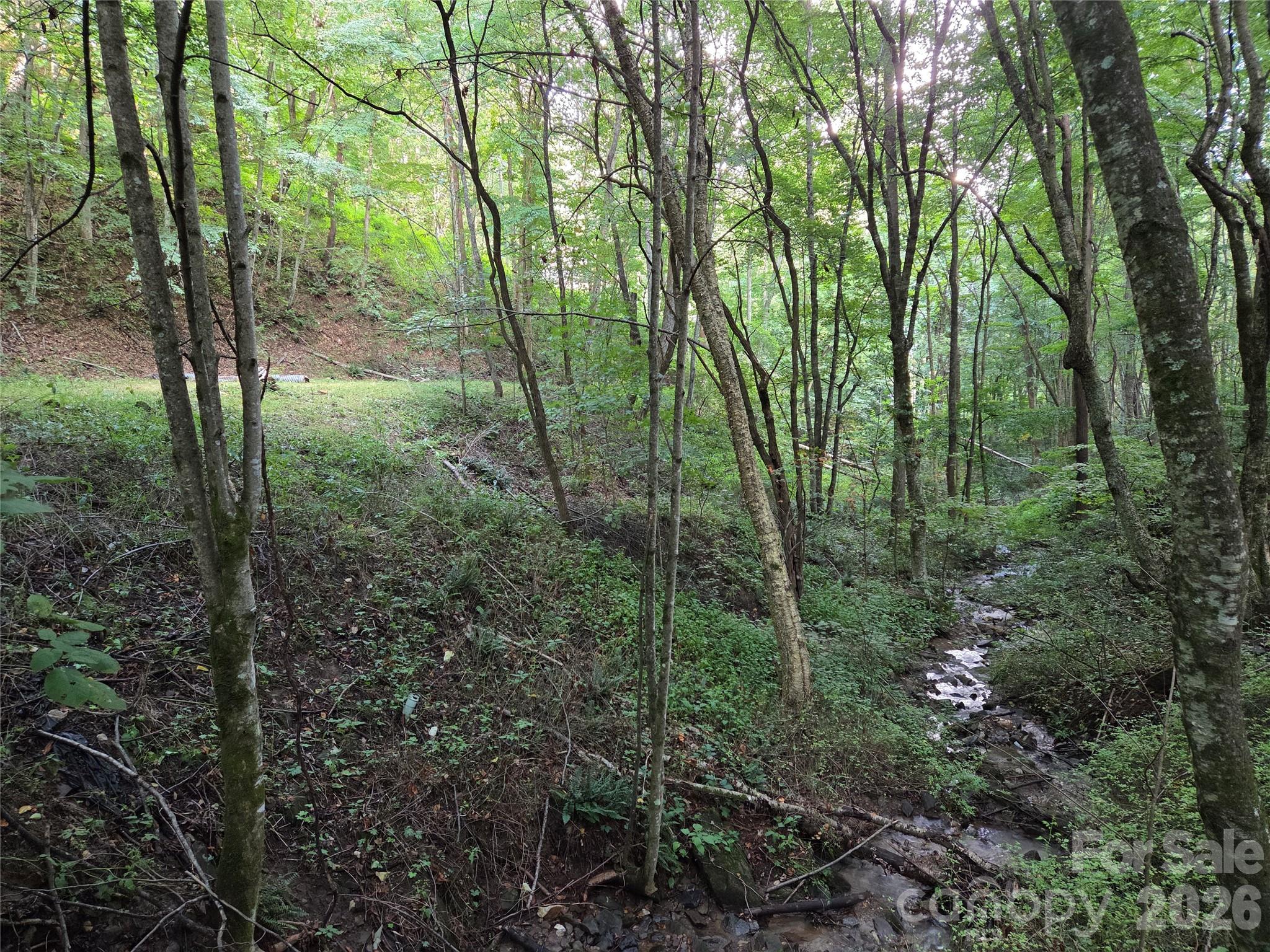 00 Creekside Drive Property Photo 1