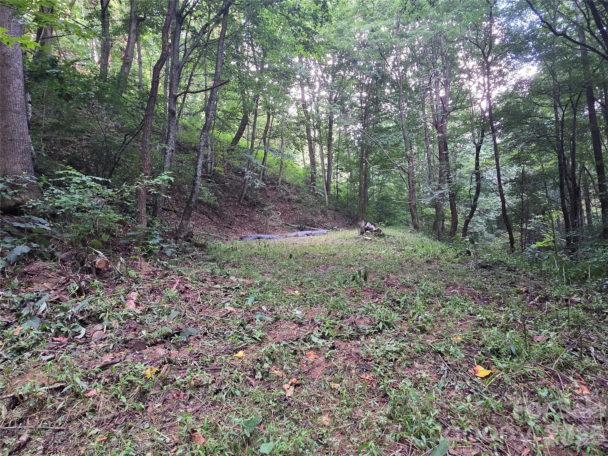 00 Creekside Drive Property Photo 2