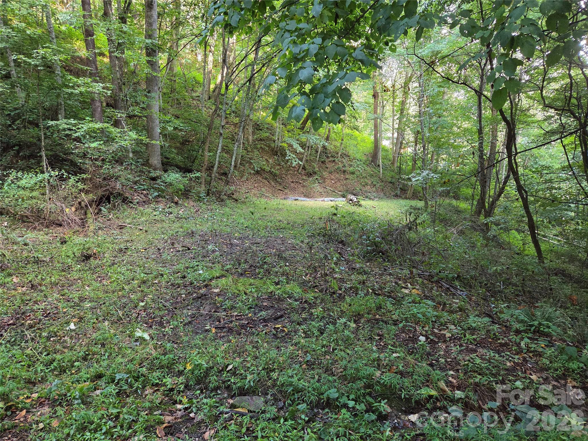 00 Creekside Drive Property Photo 4