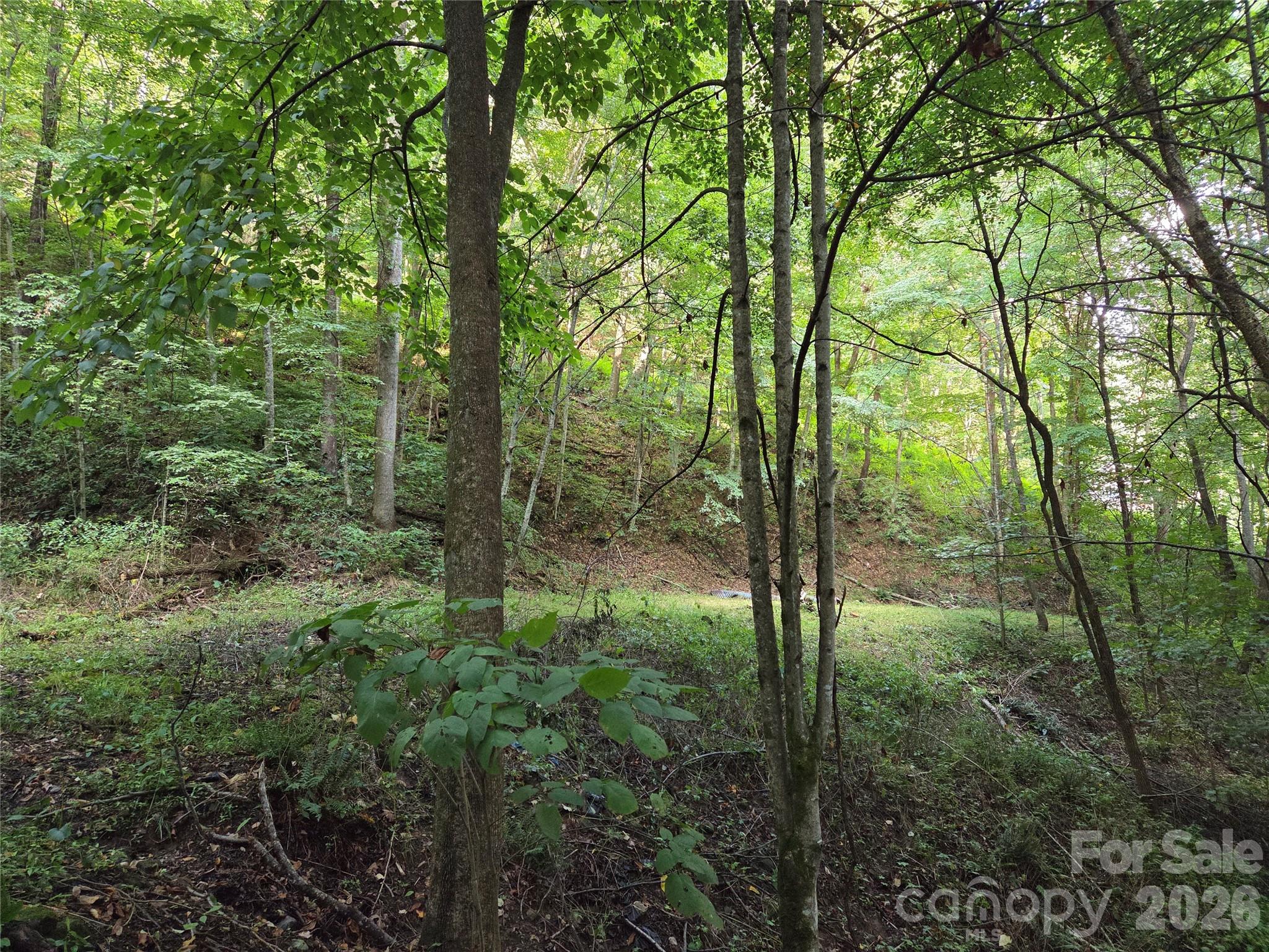00 Creekside Drive Property Photo 5