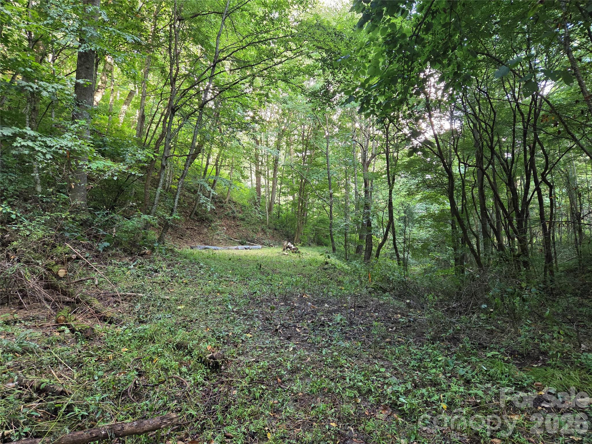 00 Creekside Drive Property Photo 6