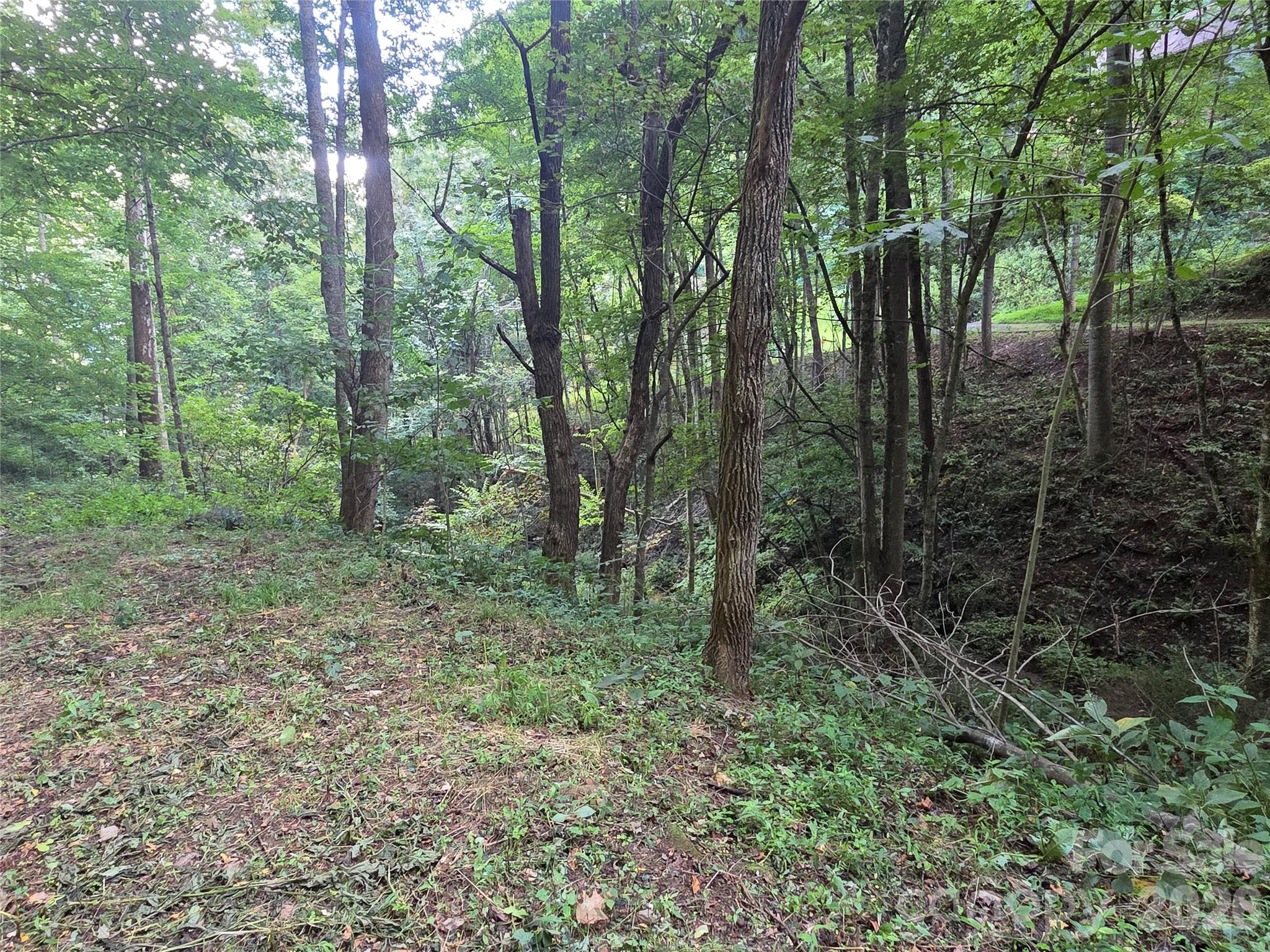 00 Creekside Drive Property Photo 7
