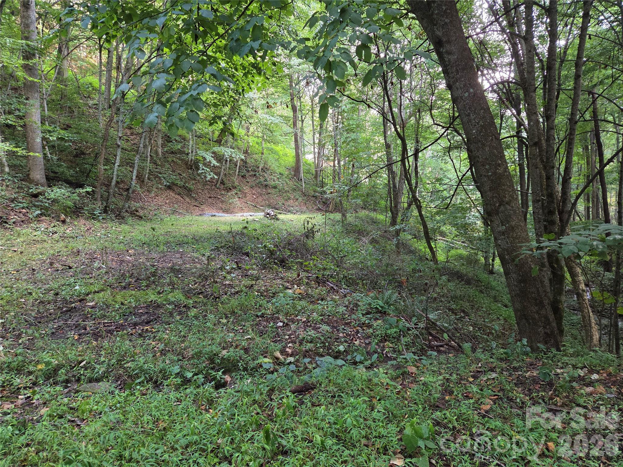 00 Creekside Drive Property Photo 8