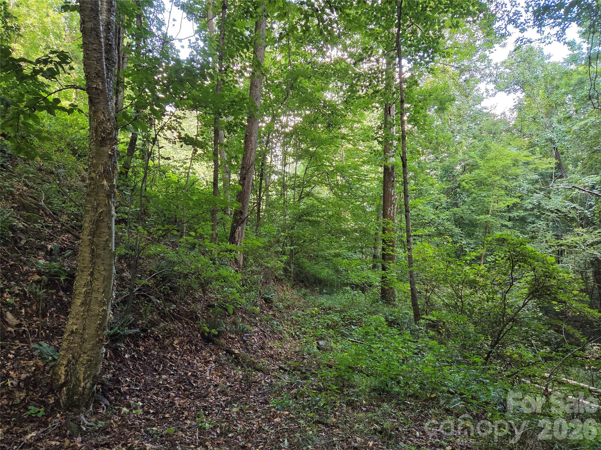 00 Creekside Drive Property Photo 9
