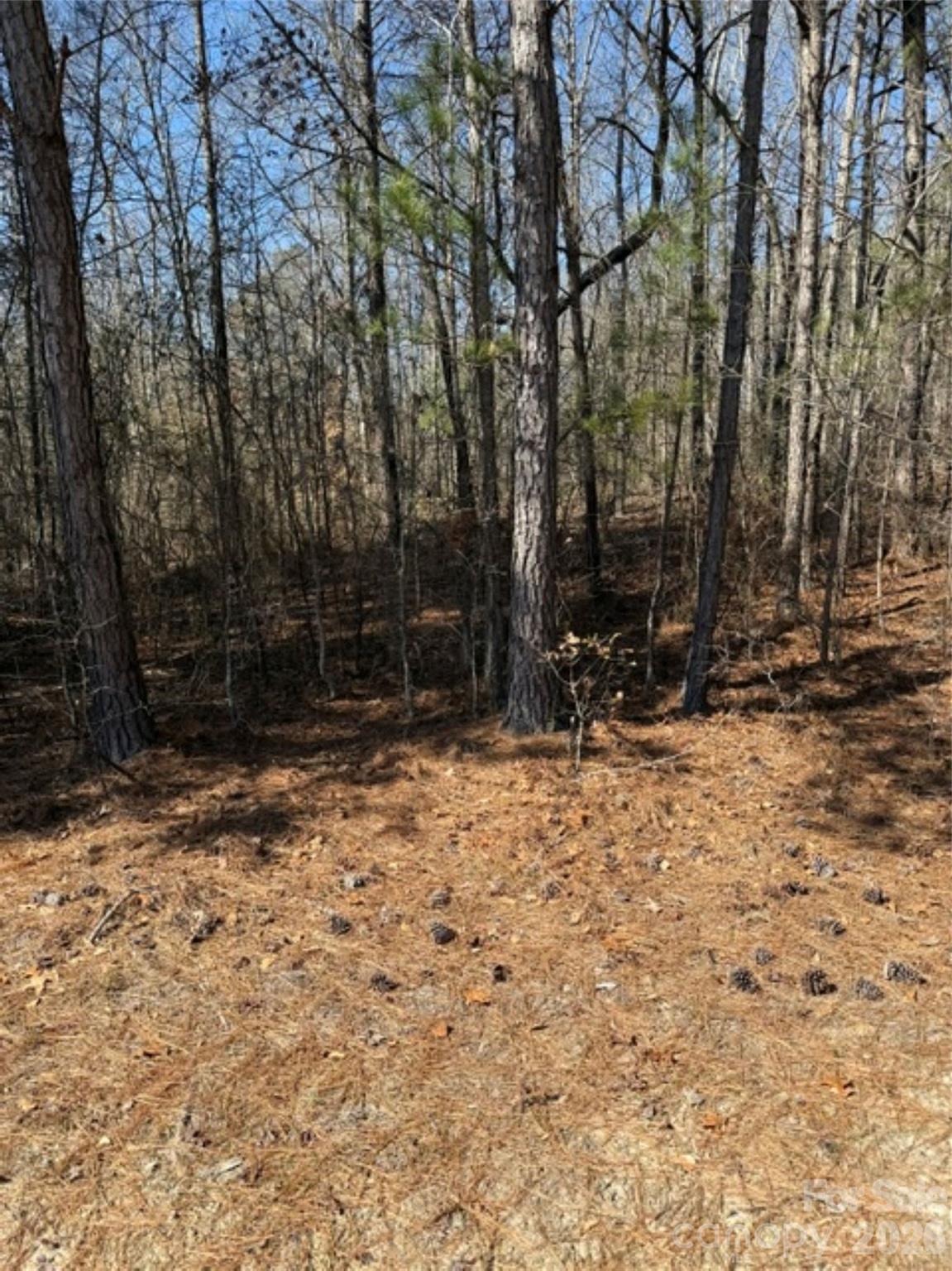 7155 Hwy 74 Highway Property Photo 25