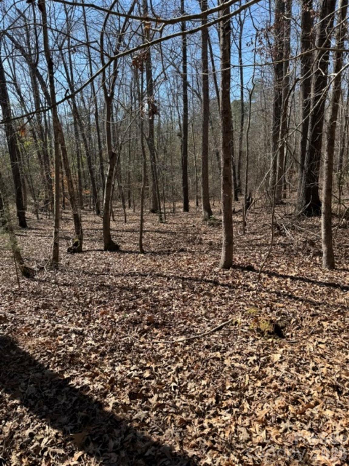 7155 Hwy 74 Highway Property Photo 26
