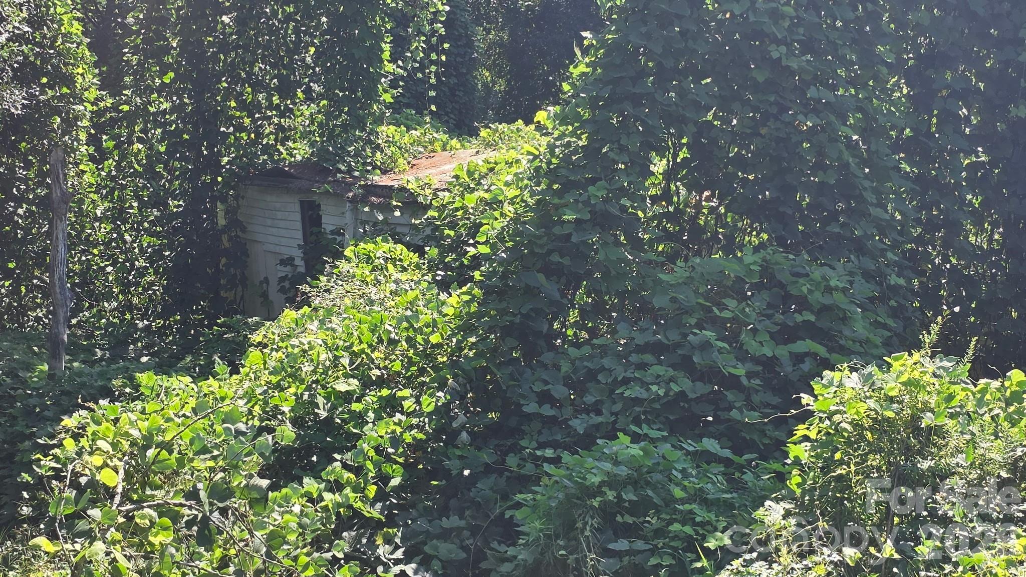 108 Campground Road Property Photo 1