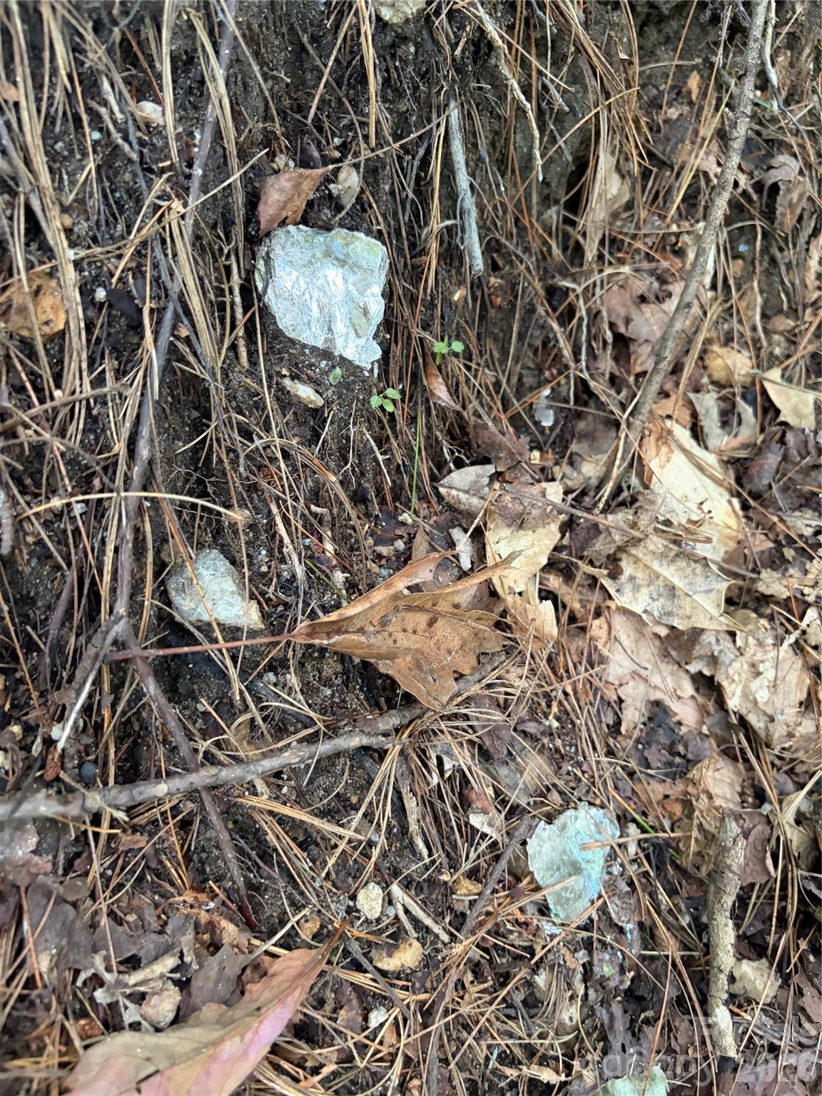 Tbd Old Nc Highway 16 Highway Property Photo 4
