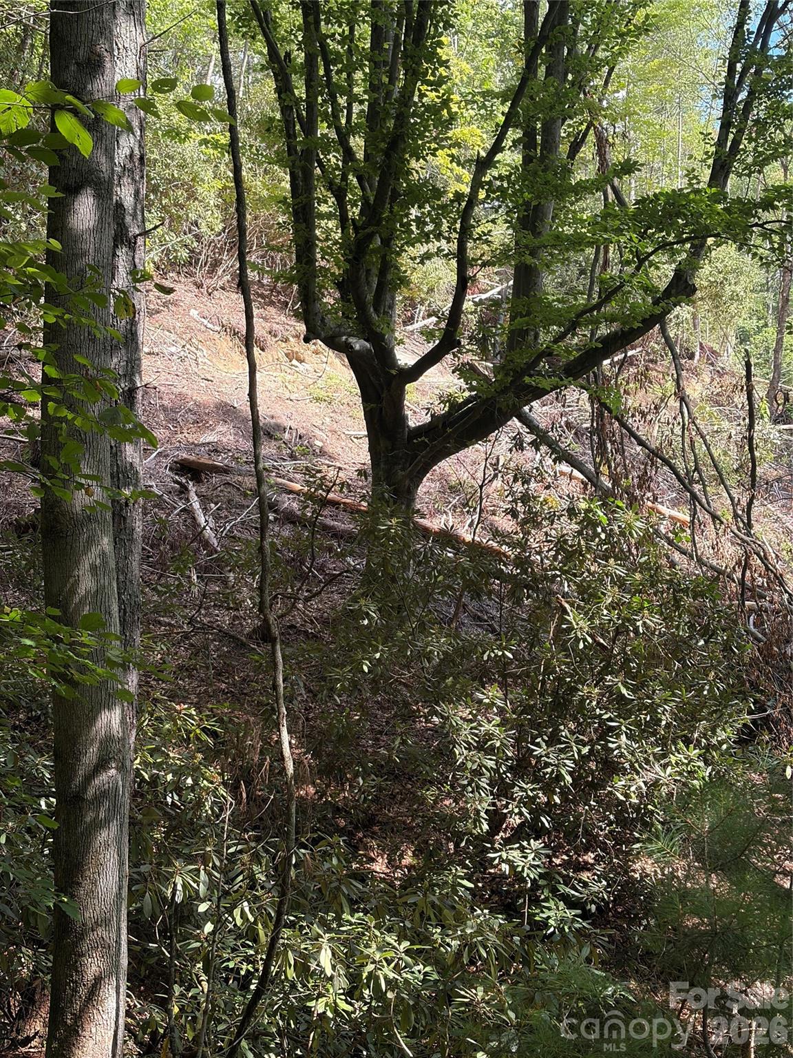 Tbd Old Nc Highway 16 Highway Property Photo 6