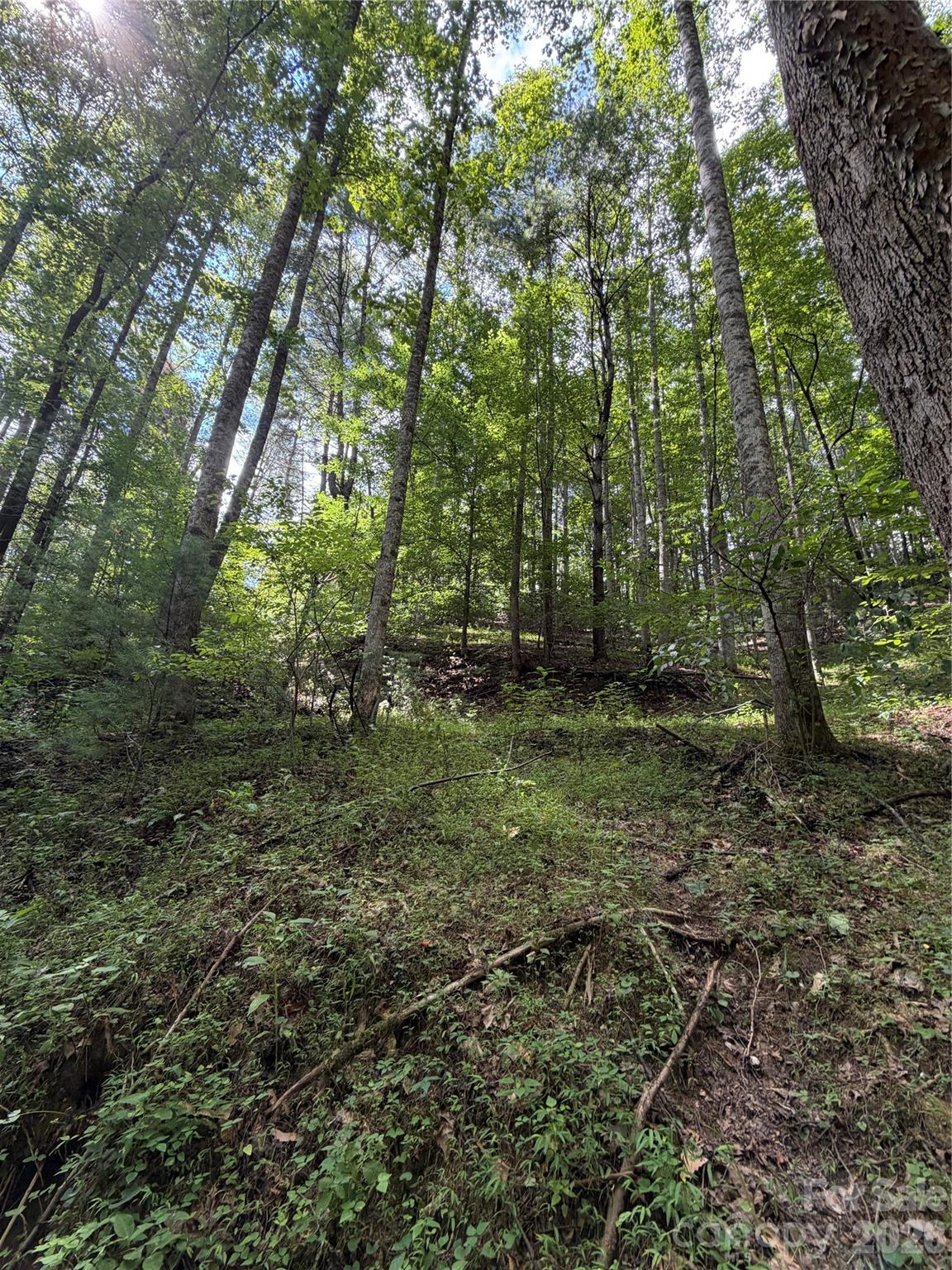 Tbd Old Nc Highway 16 Highway Property Photo 7