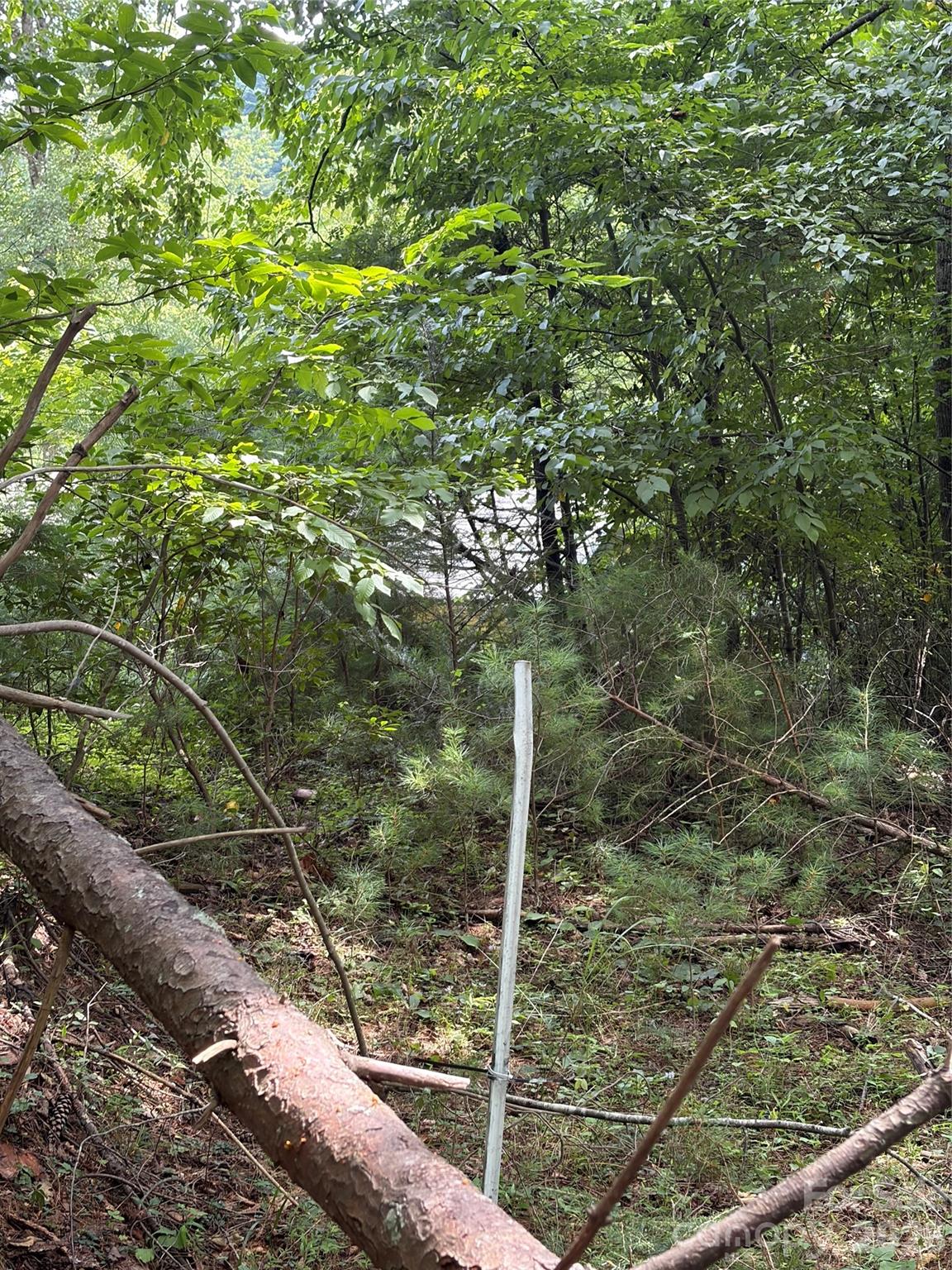 Tbd Old Nc Highway 16 Highway Property Photo 8