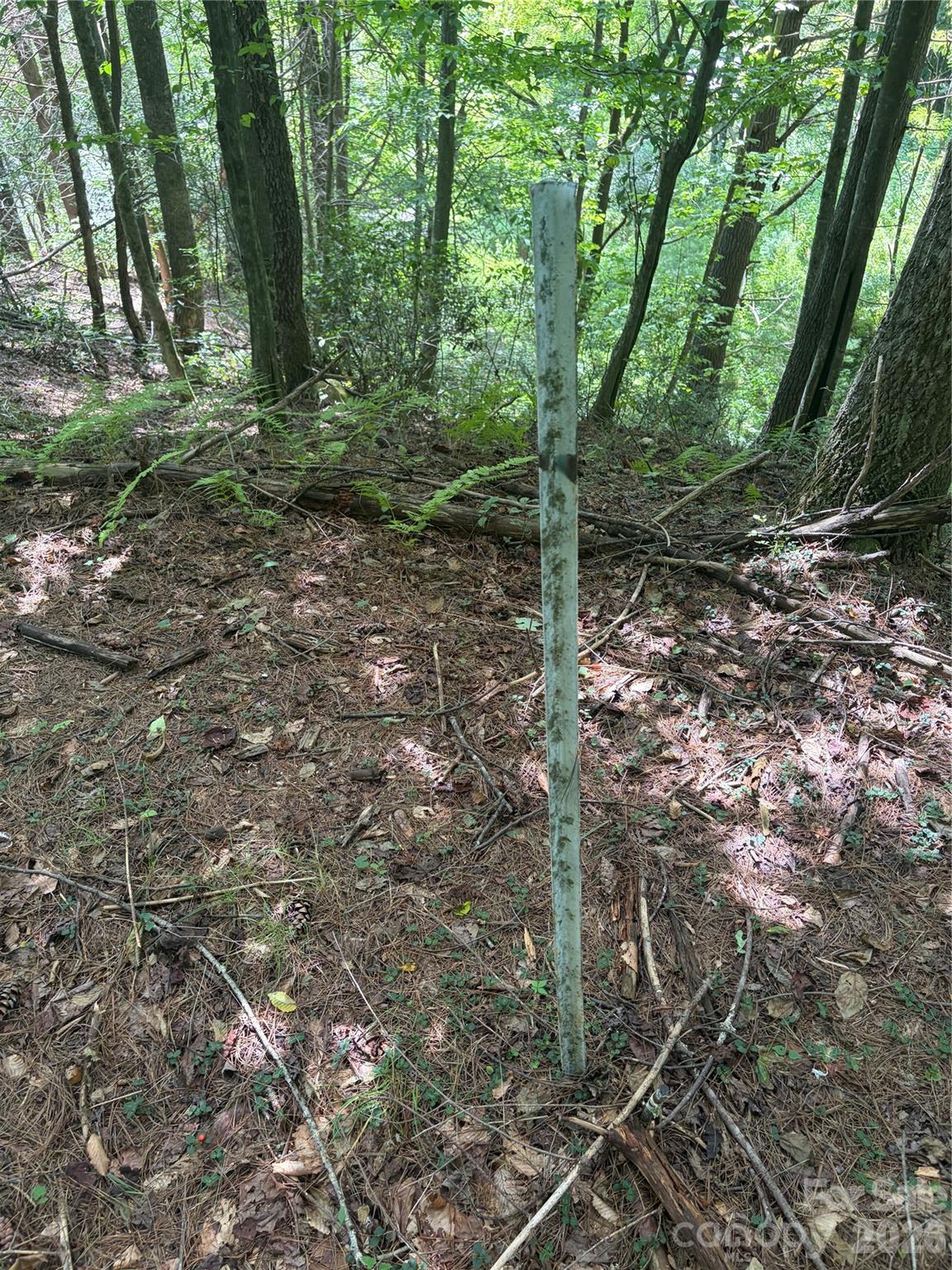 Tbd Old Nc Highway 16 Highway Property Photo 9