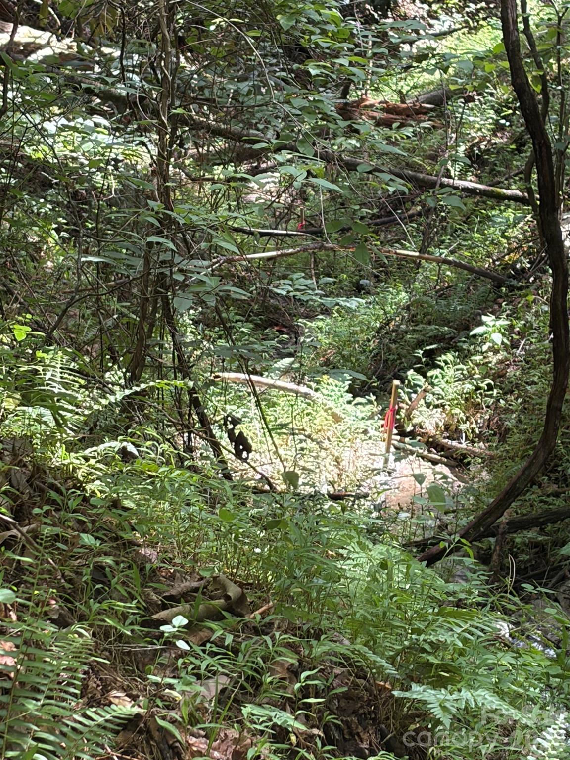 Tbd Old Nc Highway 16 Highway Property Photo 11