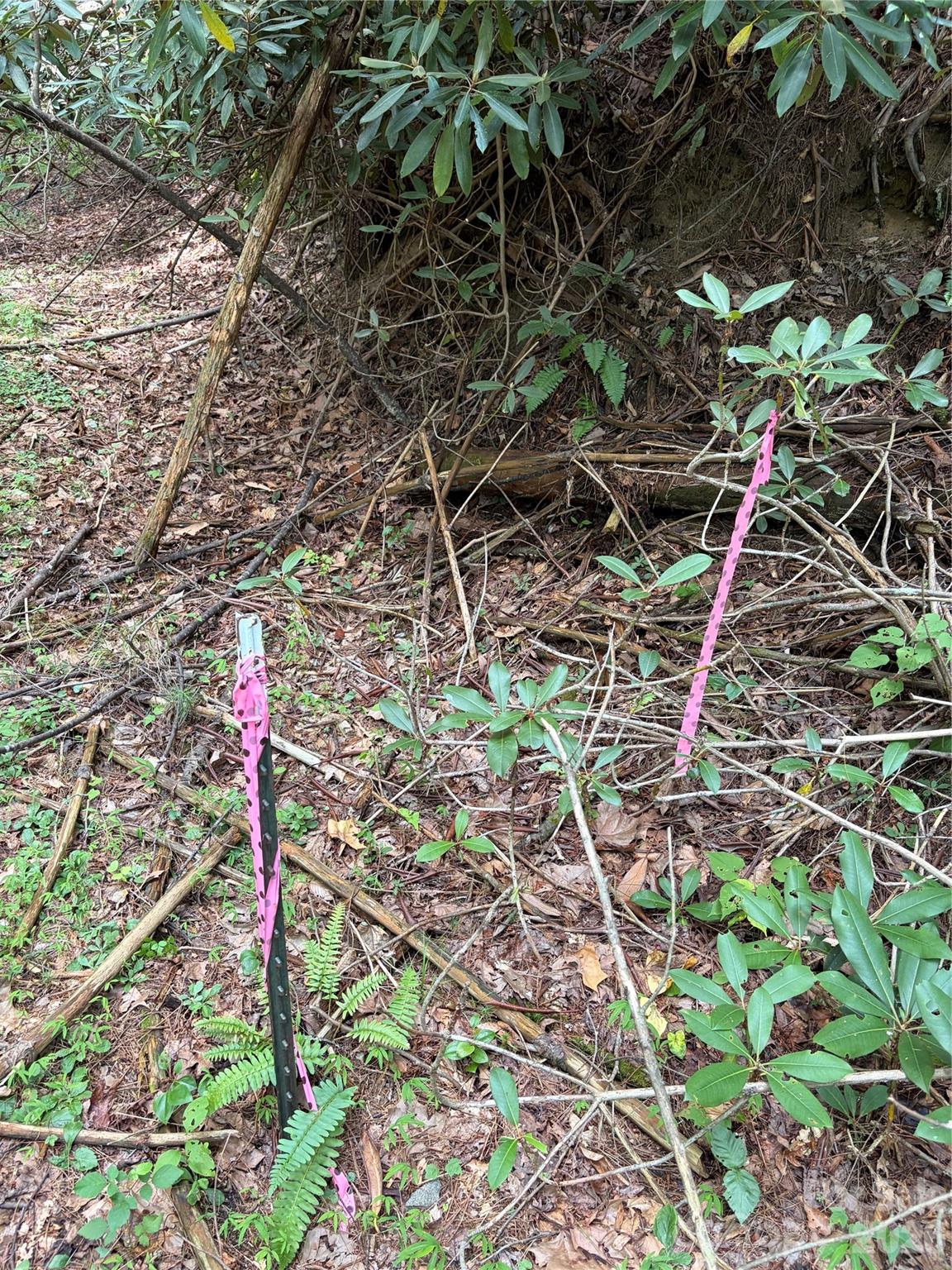 Tbd Old Nc Highway 16 Highway Property Photo 14
