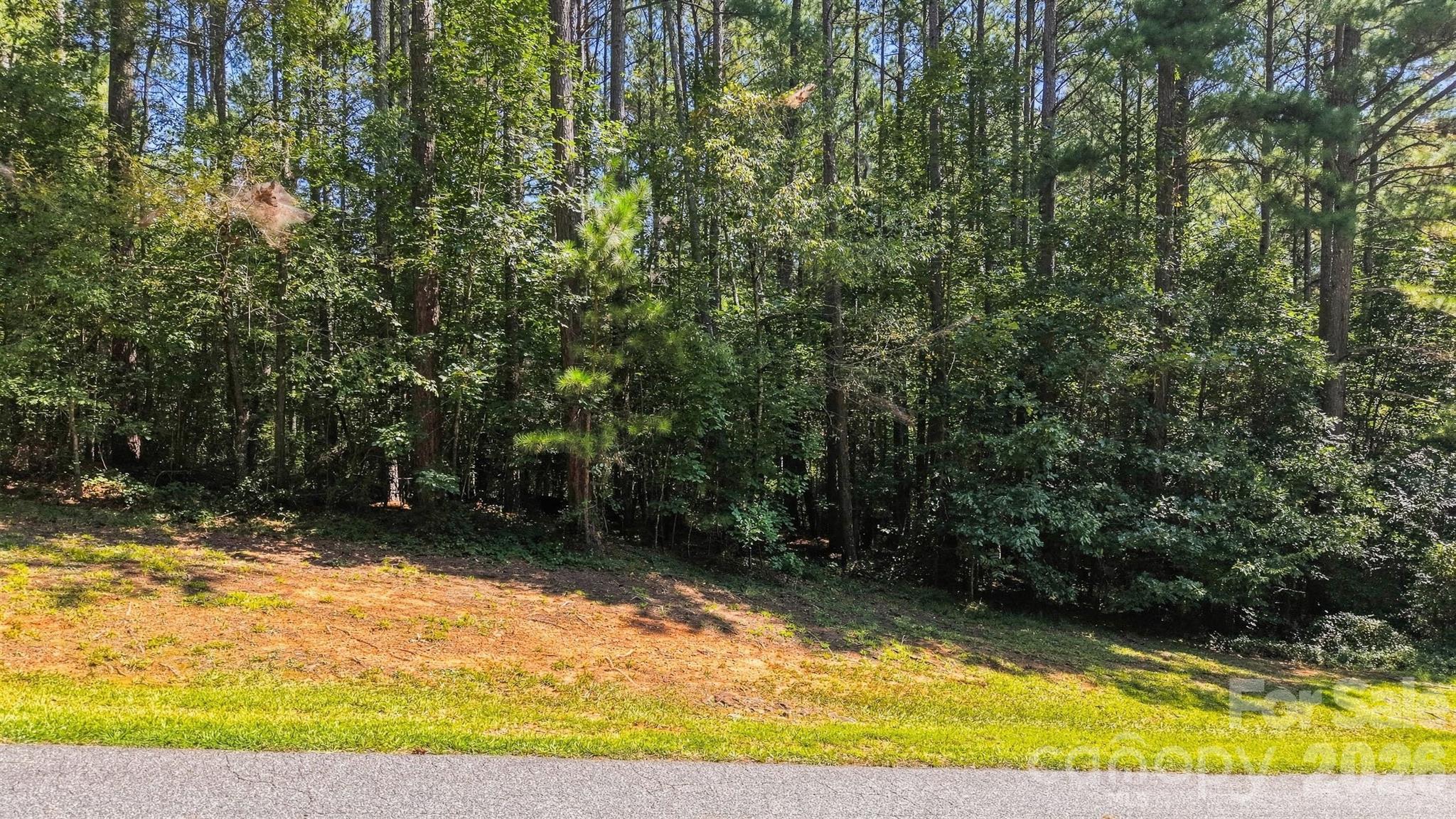 6048 Plantation Pointe Drive Property Photo 3