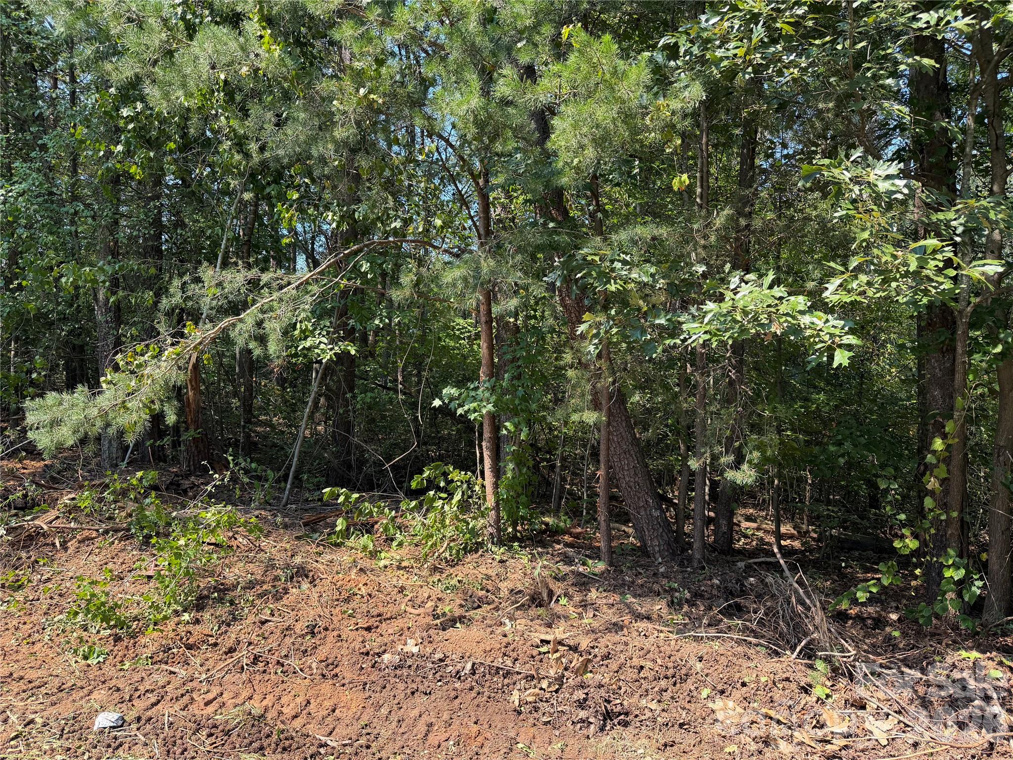 0 Katherine Drive Property Photo 1