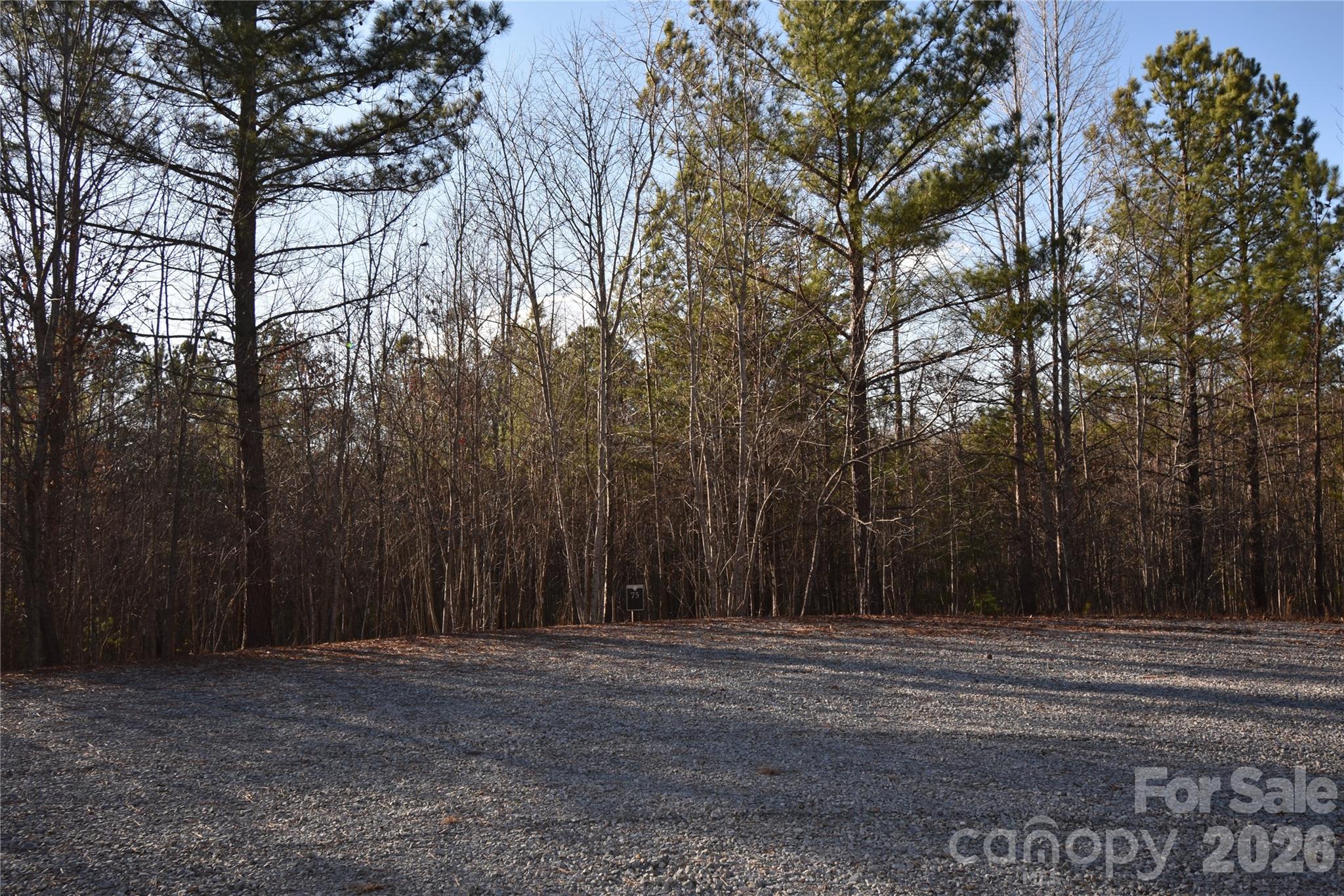 Lot 75 Tayberry Drive Property Photo 2