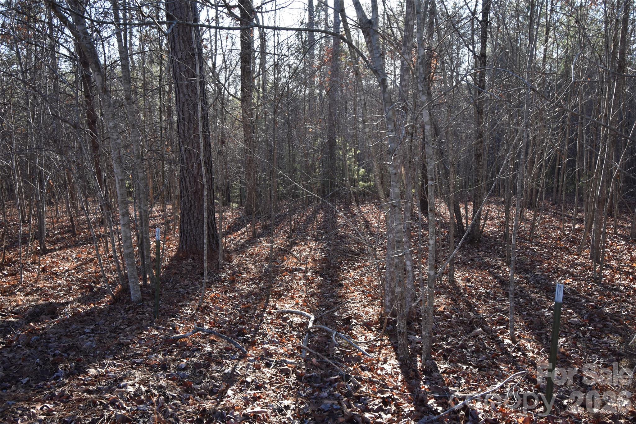 Lot 75 Tayberry Drive Property Photo 3