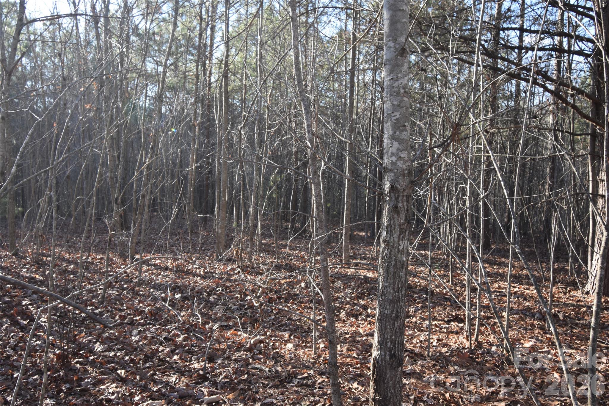 Lot 75 Tayberry Drive Property Photo 4