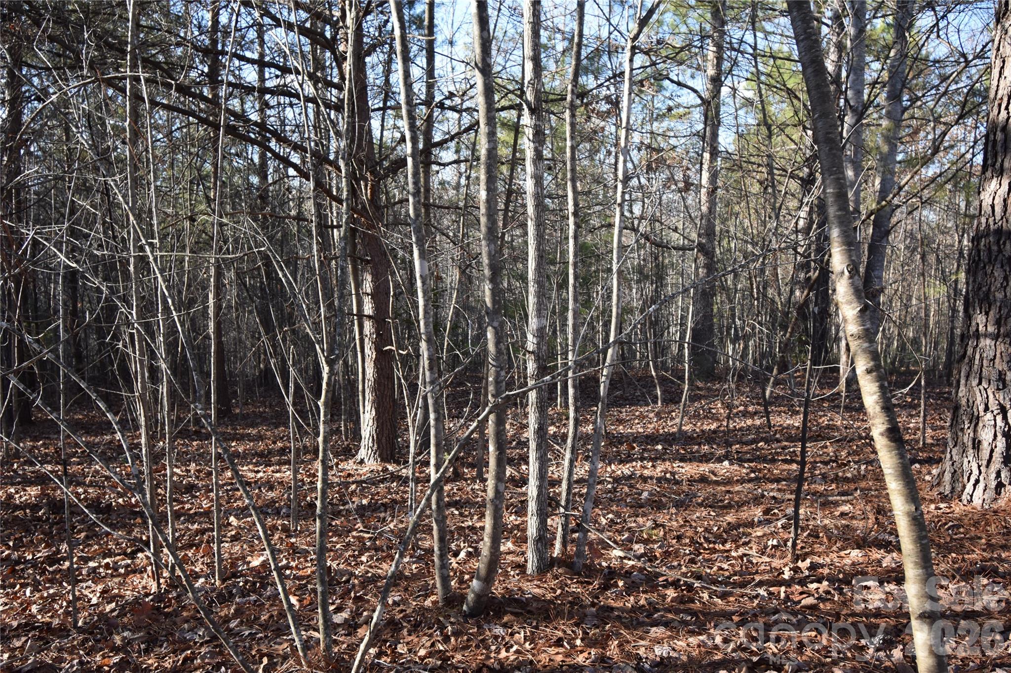 Lot 75 Tayberry Drive Property Photo 5