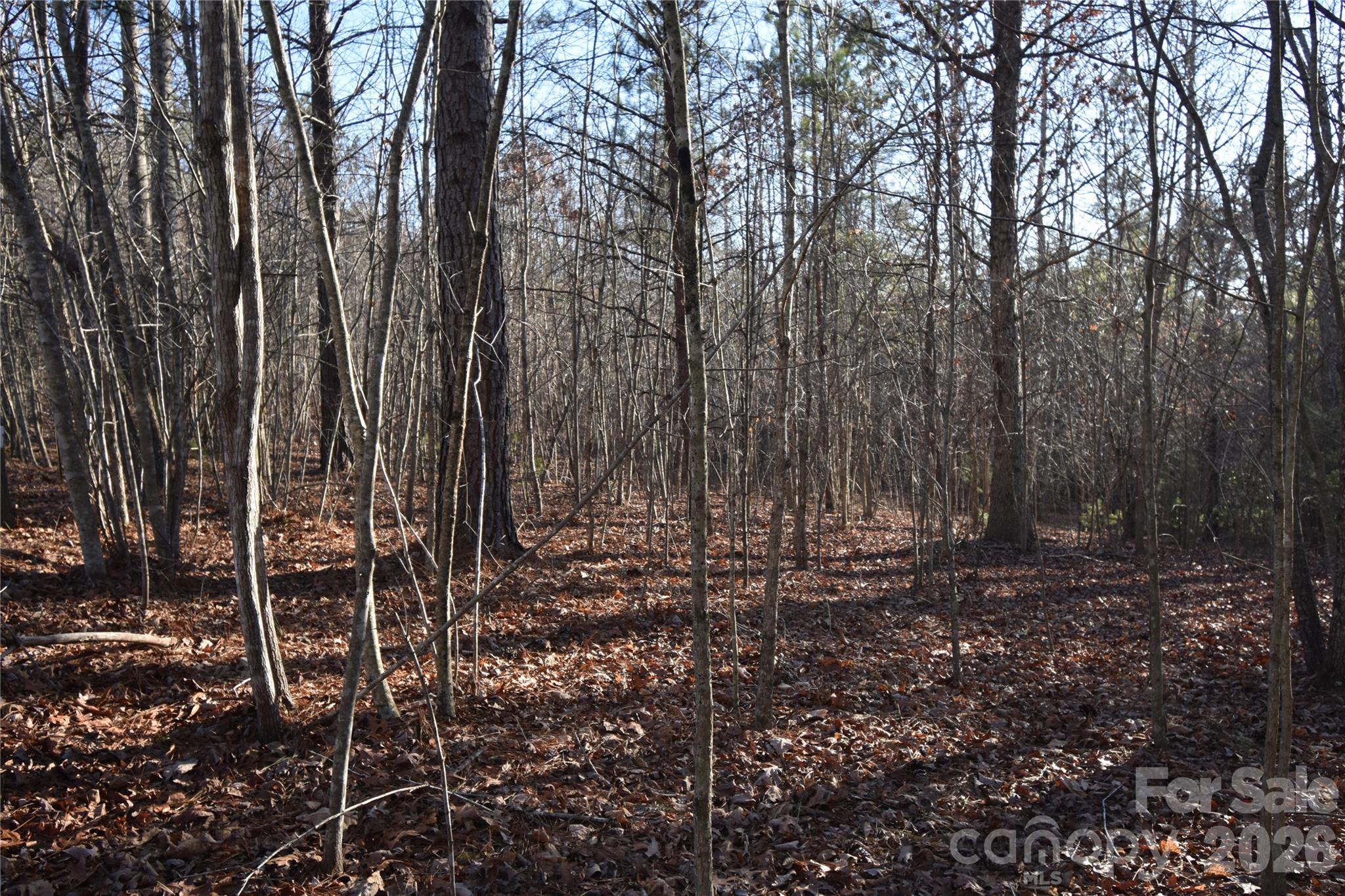 Lot 75 Tayberry Drive Property Photo 6