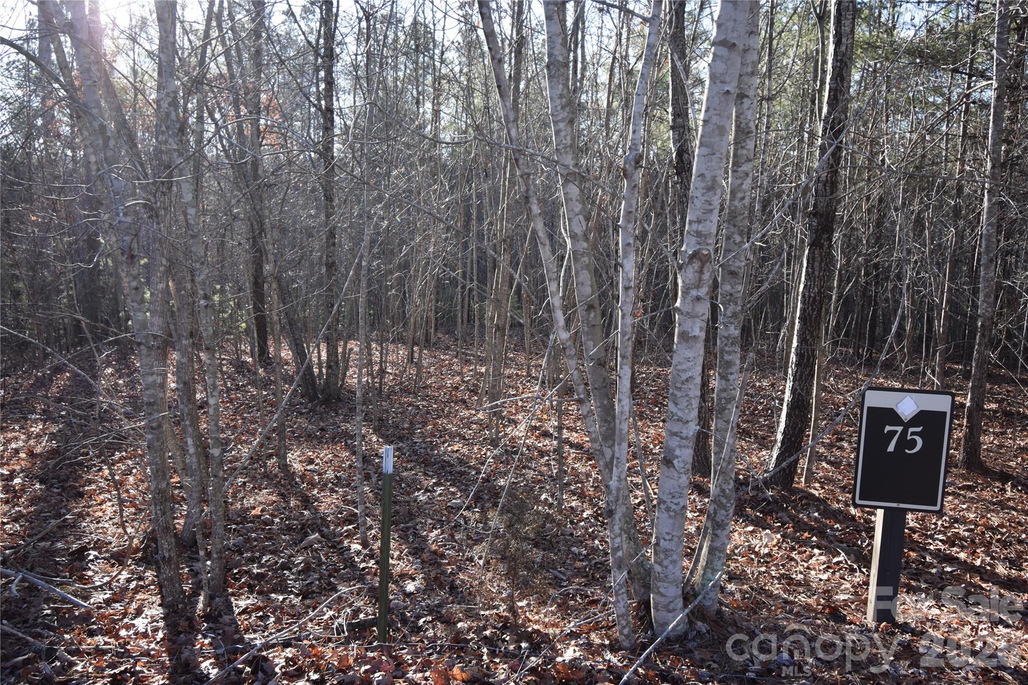 Lot 75 Tayberry Drive Property Photo 8