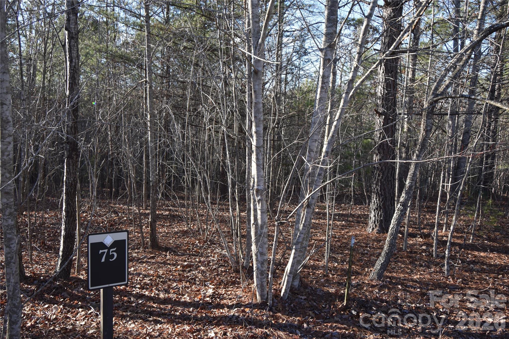 Lot 75 Tayberry Drive Property Photo 9