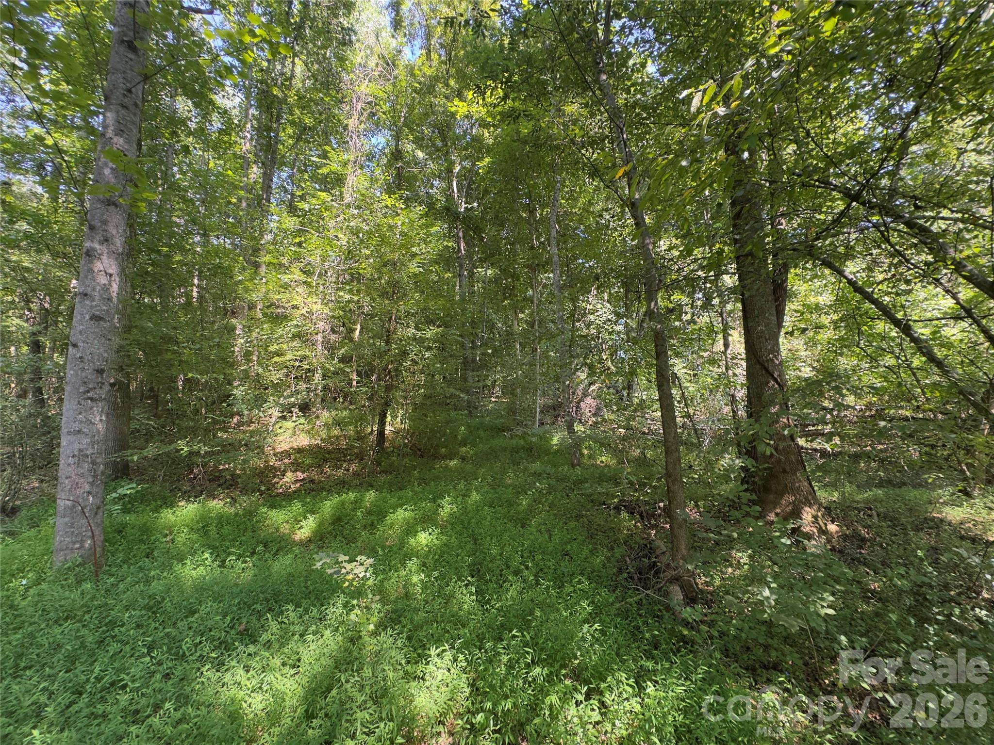 None Laboratory Road Property Photo 14
