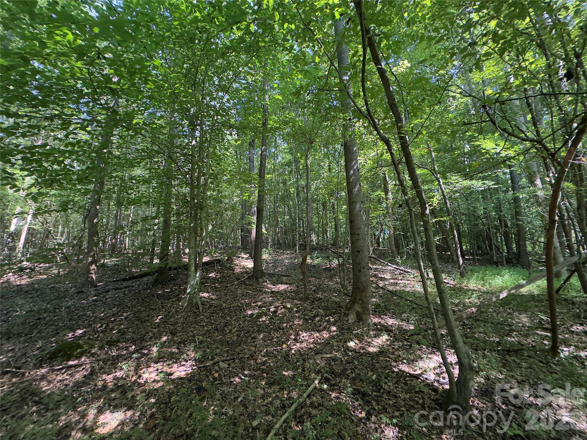 None Laboratory Road Property Photo 17