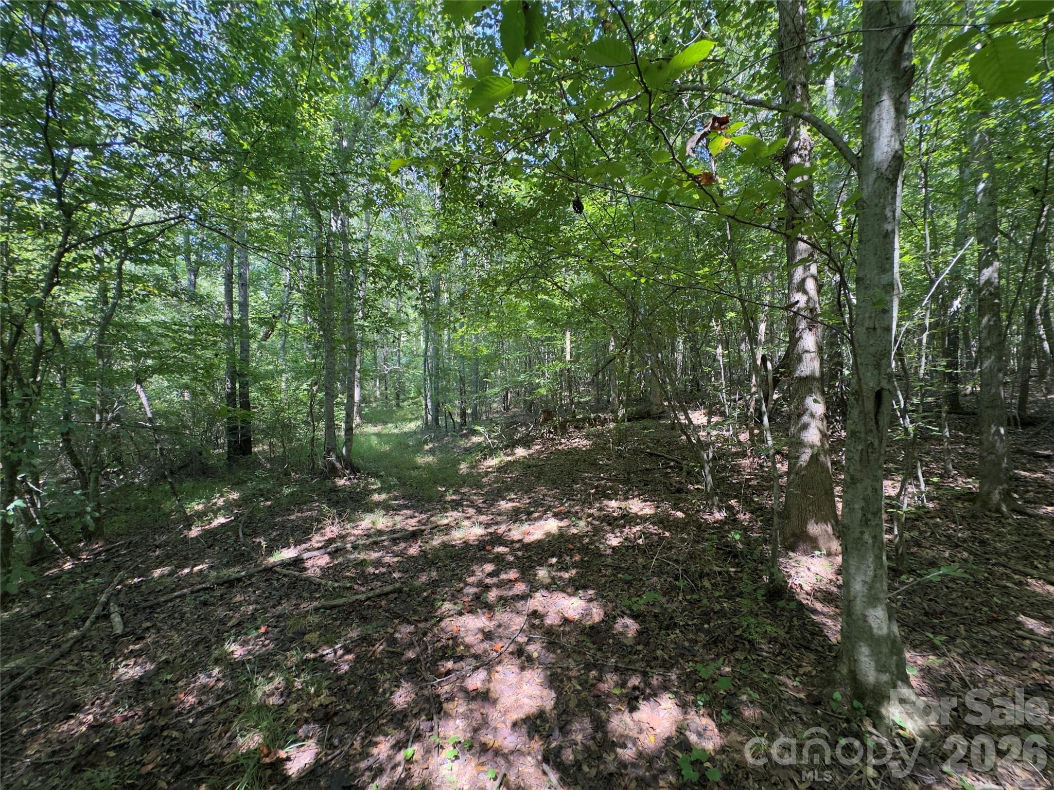 None Laboratory Road Property Photo 18