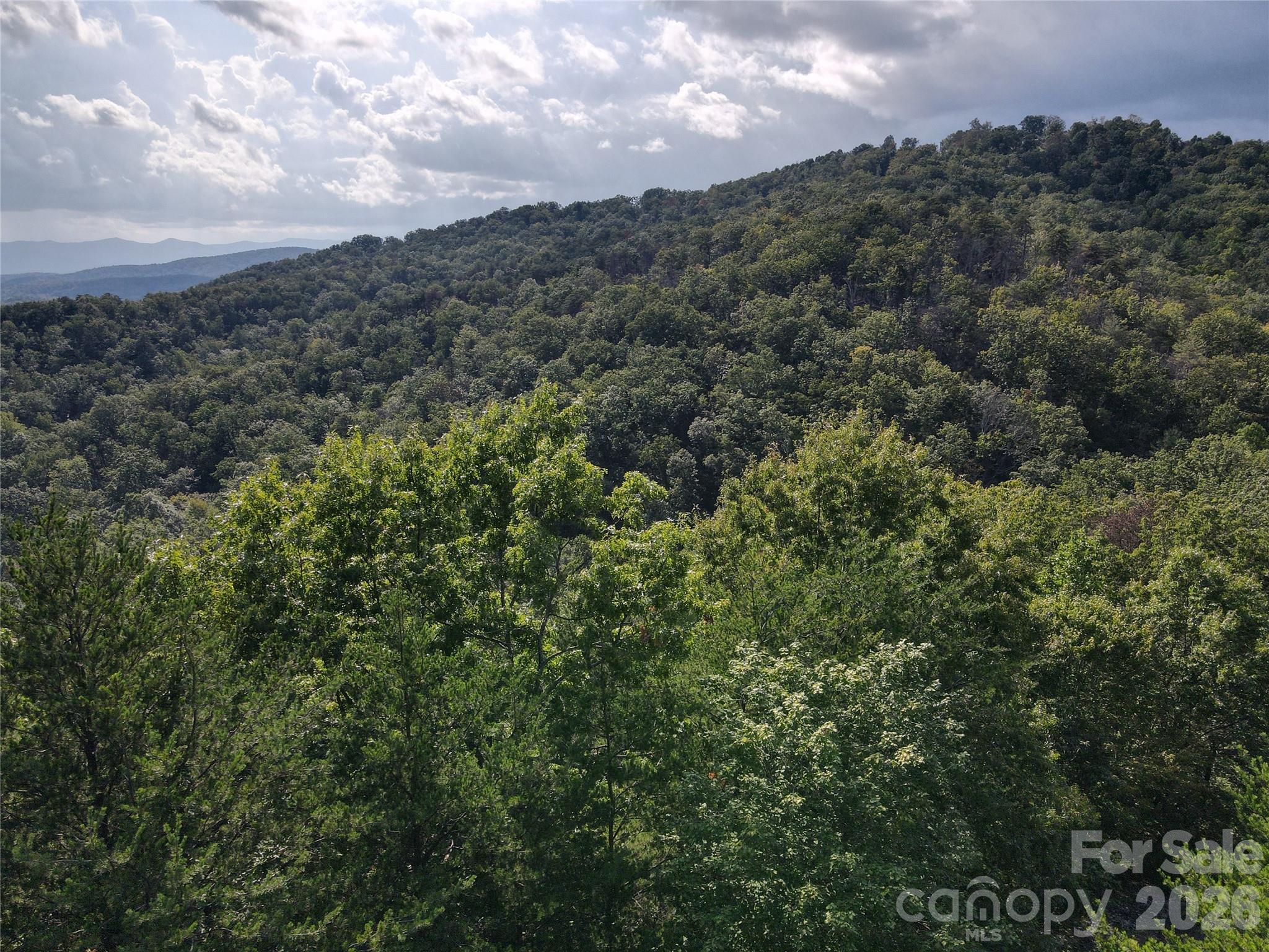 3578 Appian Way Property Photo 11