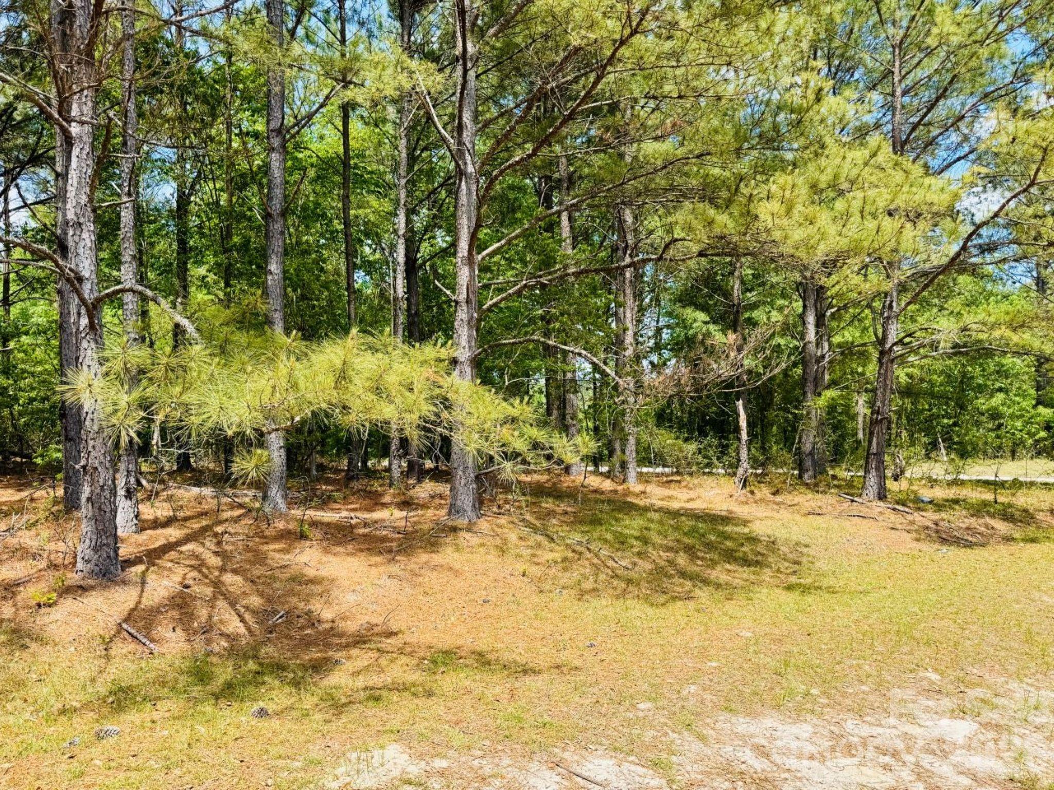 385 Elbert Baskins Road Property Photo 1