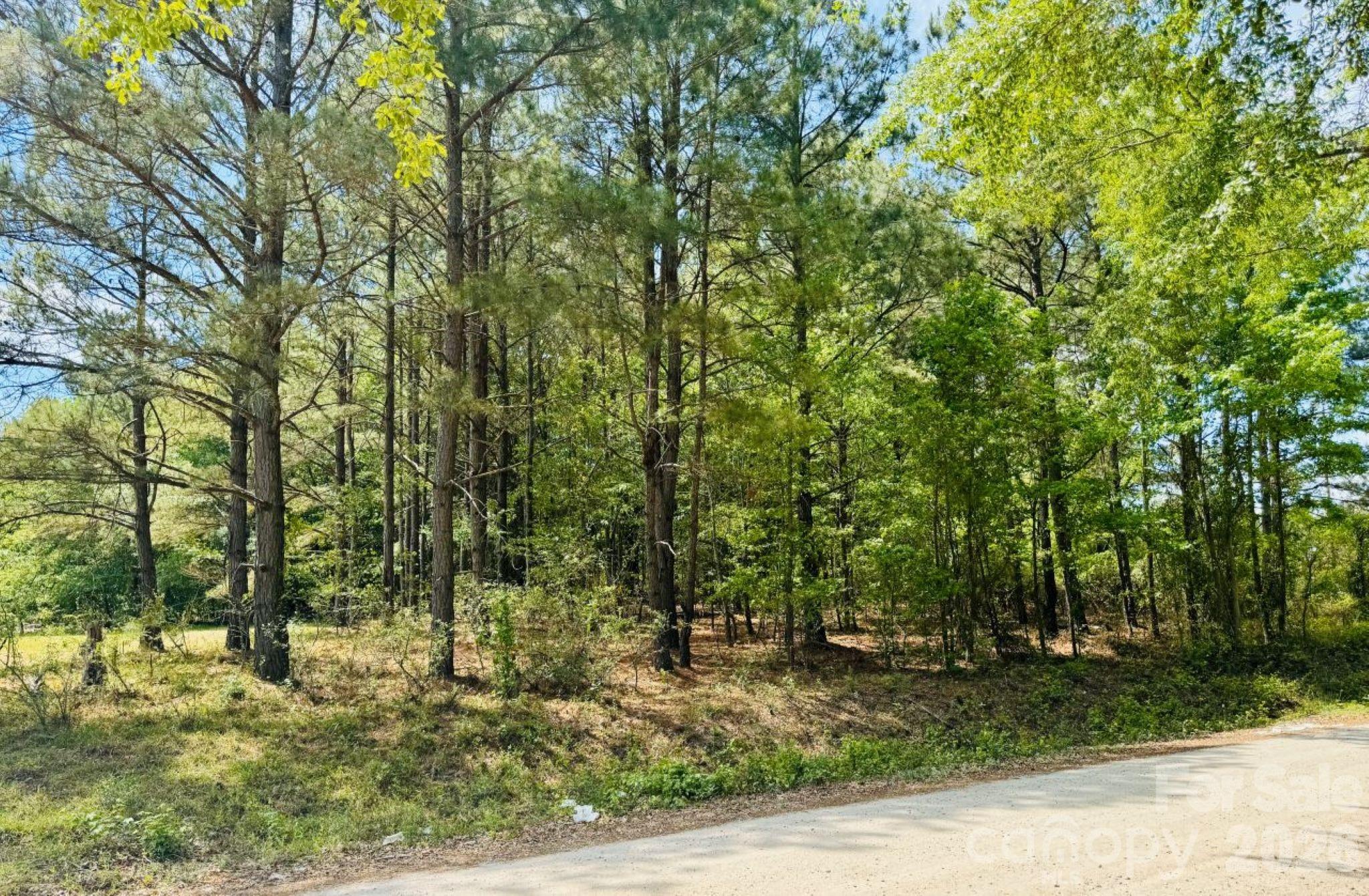 385 Elbert Baskins Road Property Photo 3