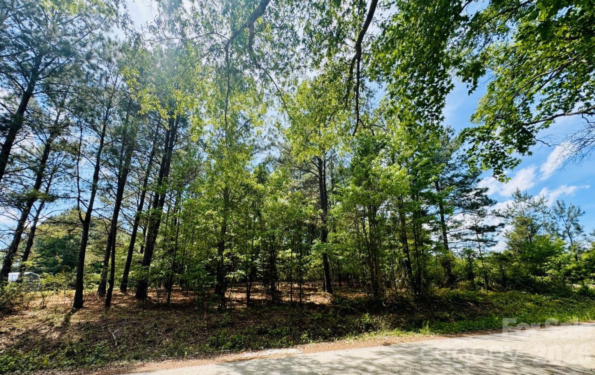 385 Elbert Baskins Road Property Photo 4
