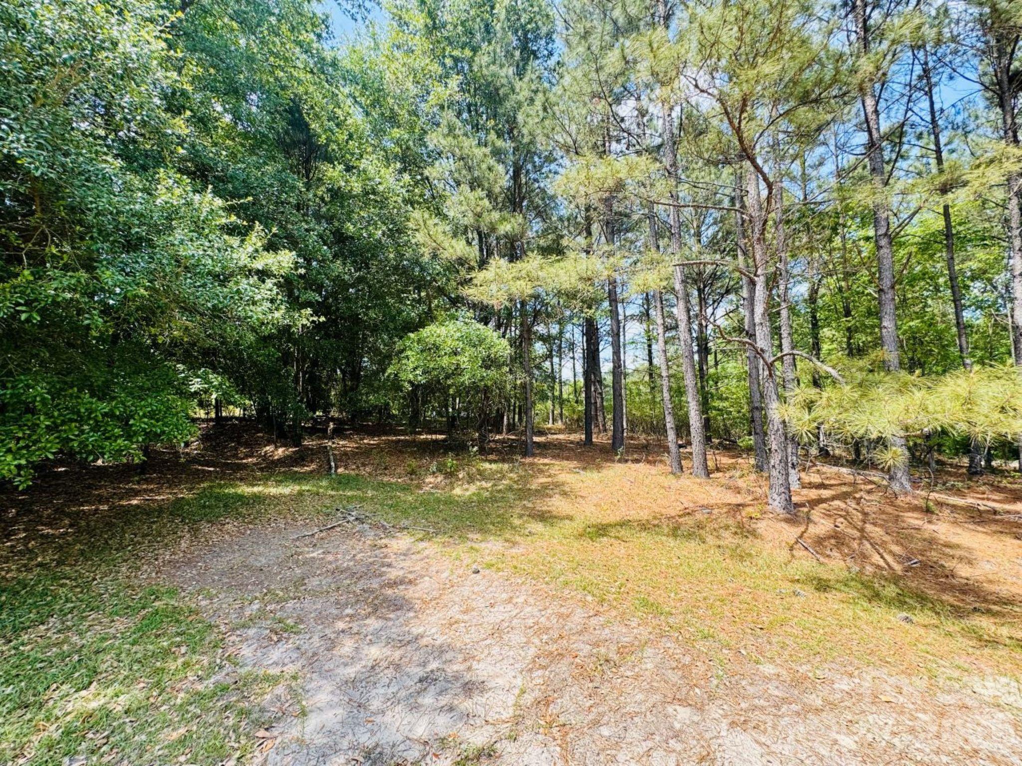 385 Elbert Baskins Road Property Photo 6