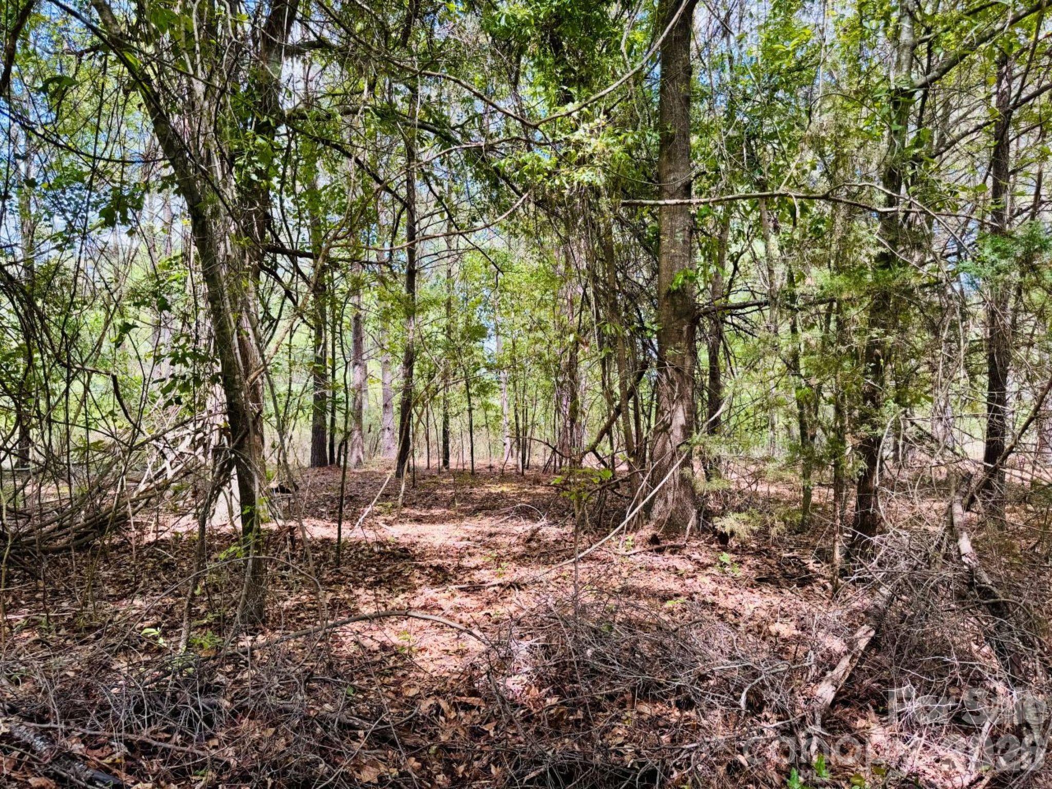 385 Elbert Baskins Road Property Photo 7
