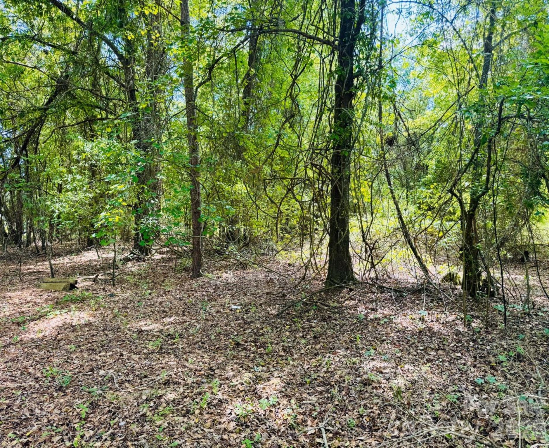 385 Elbert Baskins Road Property Photo 8