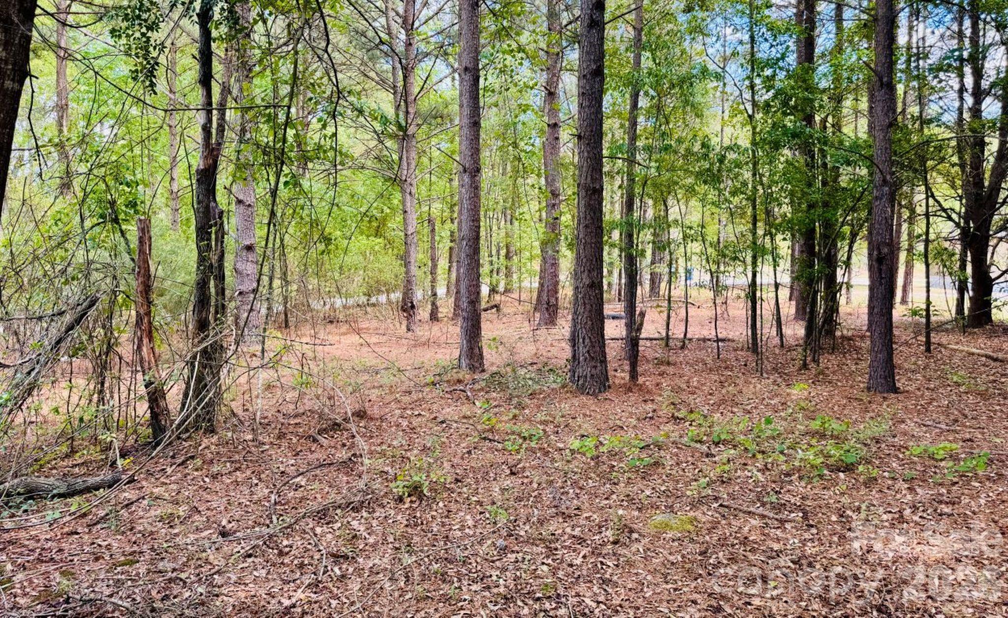 385 Elbert Baskins Road Property Photo 9