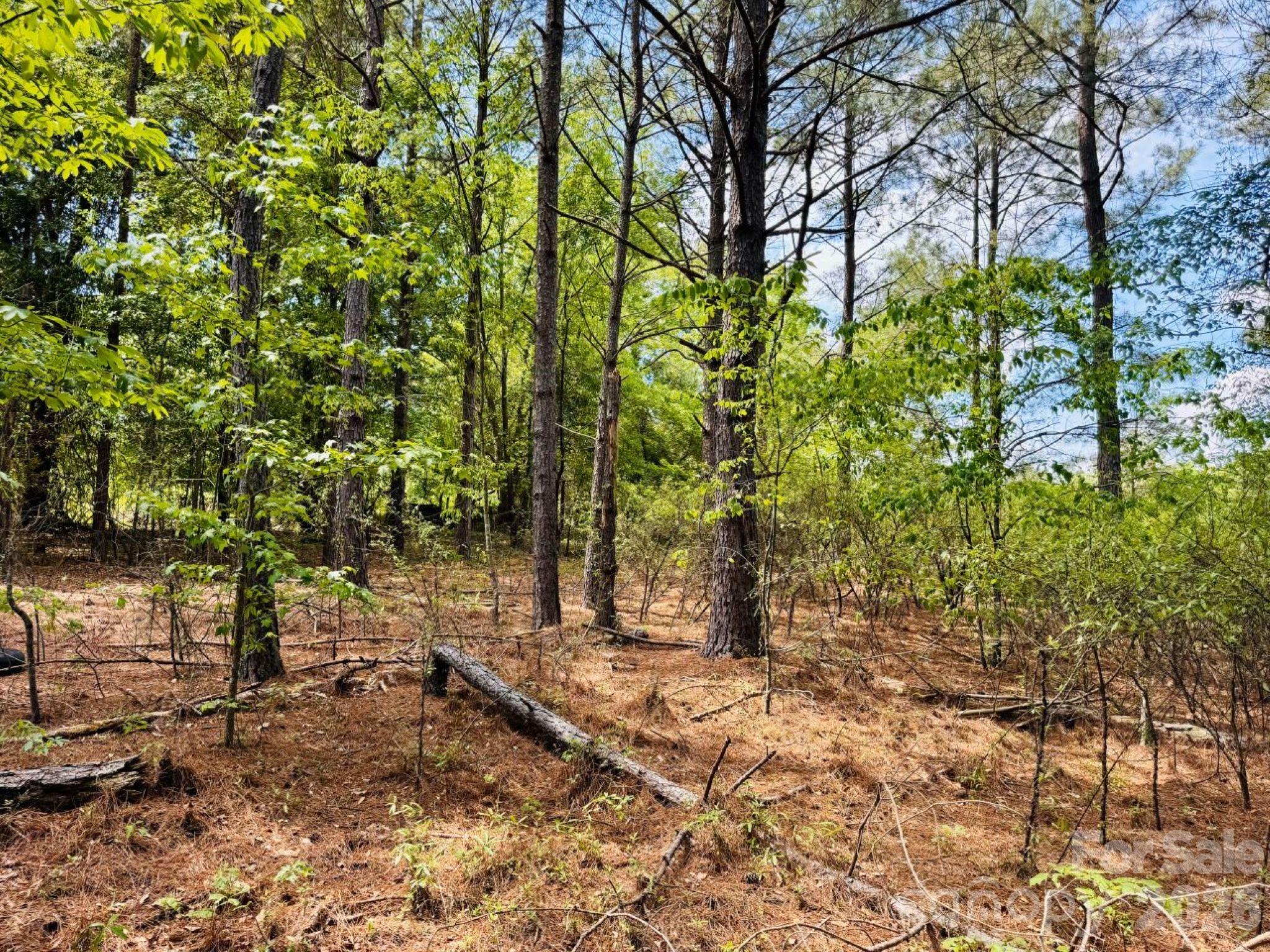 385 Elbert Baskins Road Property Photo 10
