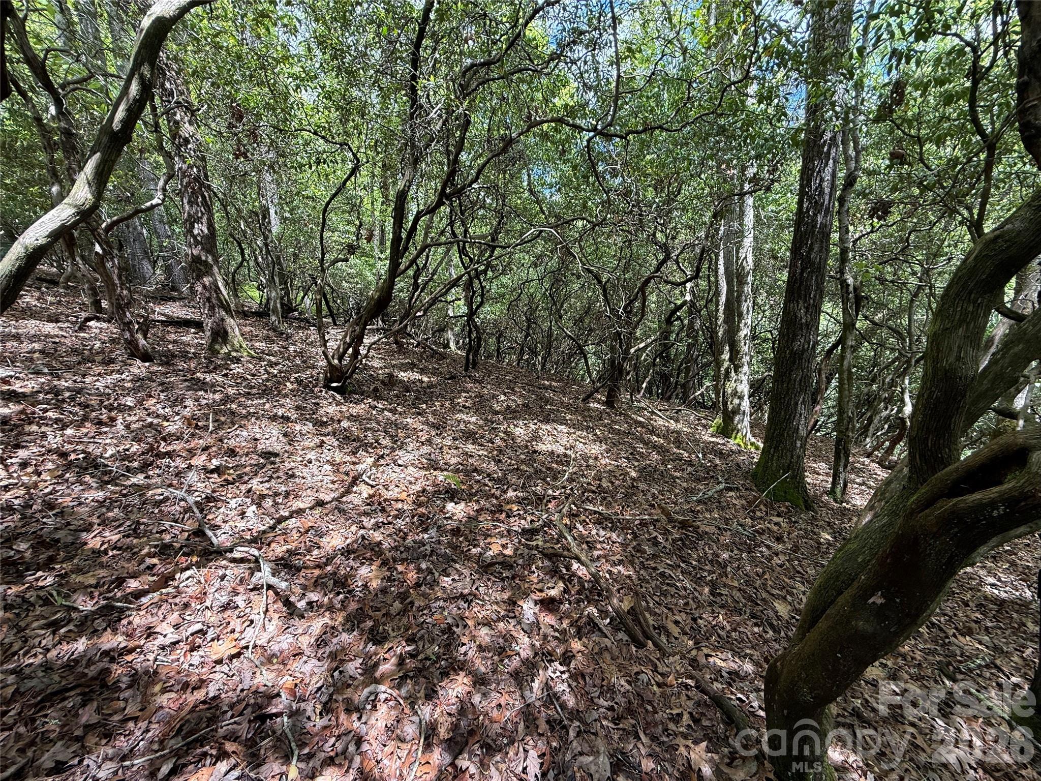 Tbd Tellico Trail 42/22 Property Photo 2